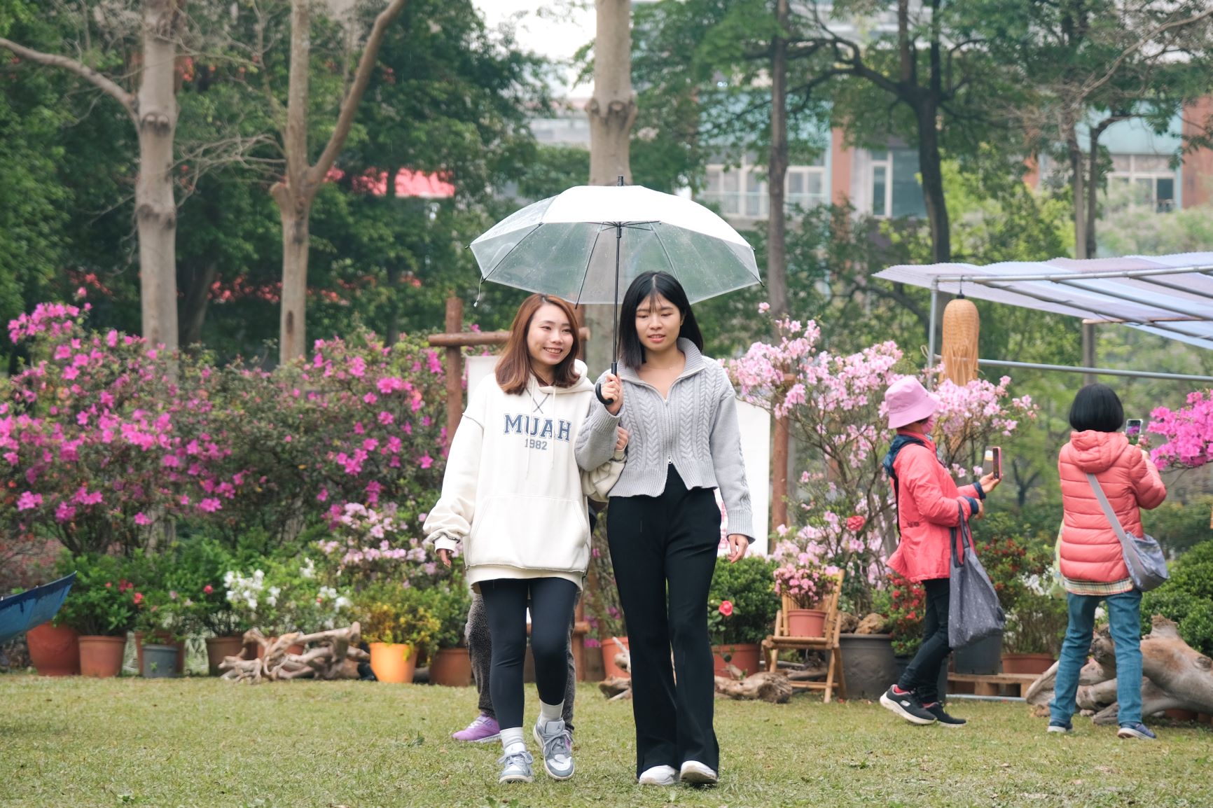  目前有8組萬金杜鵑花屋作品在大安森林公園展出，每組作品也都運用不同的光影設計，讓杜鵑呈現與白天不同的風情