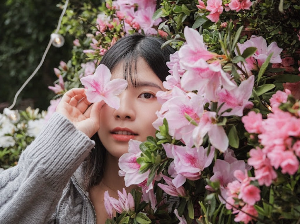 萬金杜鵑3月30日至5月12日也將在宜蘭綠色博覽會以庭園造景方式展出，想一睹杜鵑各式姿態的民眾