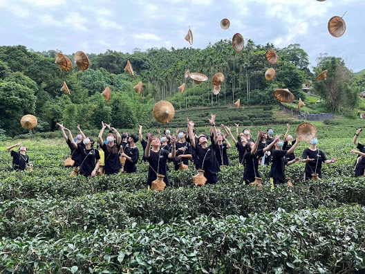 農業局與北大USR計畫團隊合作，於4月在三峽推出茶食農教育體驗 