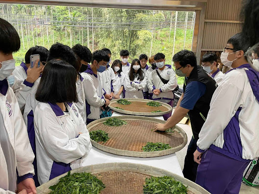 透過親身體驗茶葉的採摘、製茶過程，學習茶道與品茶技藝，讓民眾了解三峽茶産業