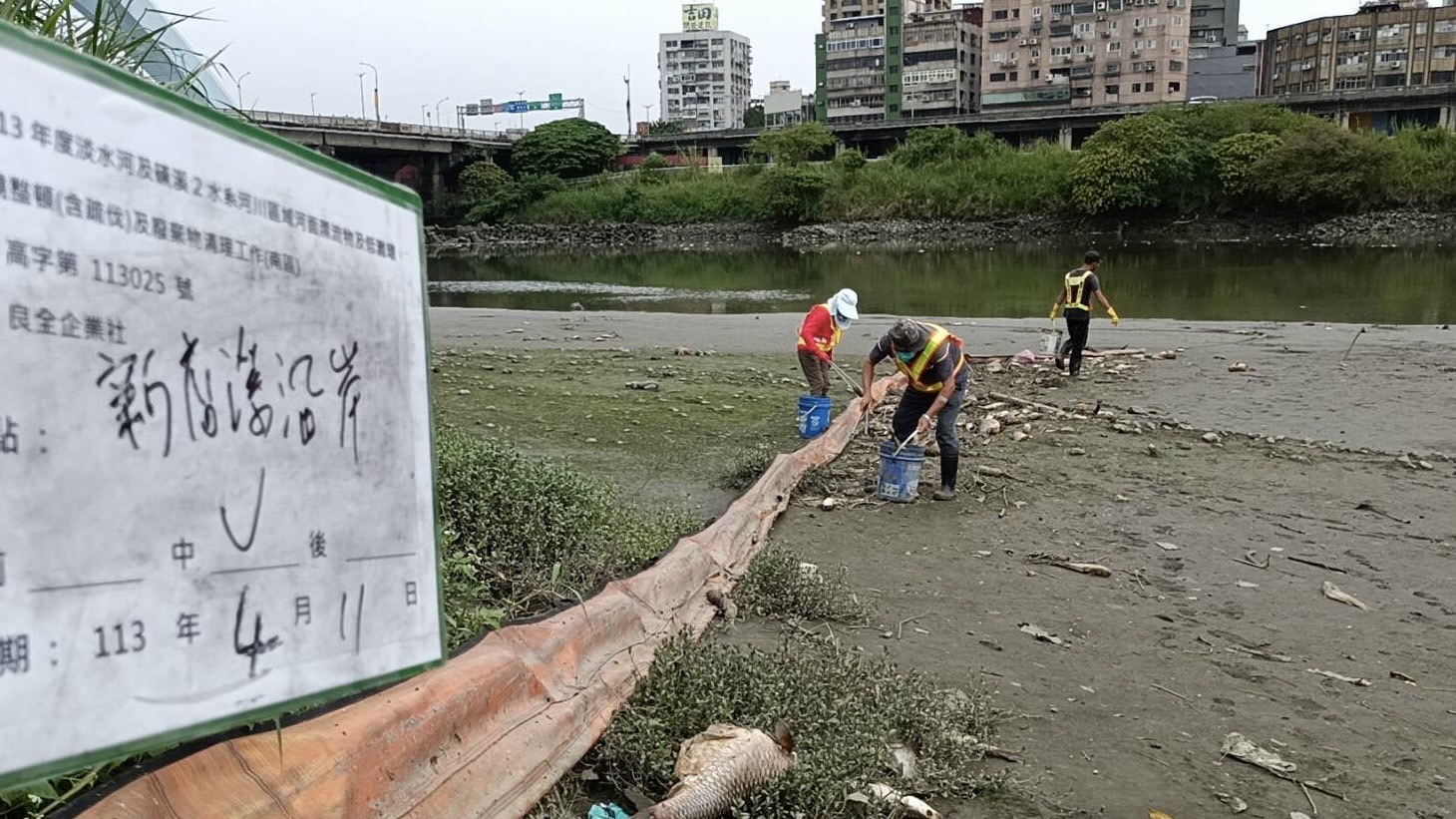 新北環保局說明，死魚發生情形最常見的包括水環境溫度急遽變化、連日下雨或無雨、水中污染濃度高及夜間微生物耗氧反應