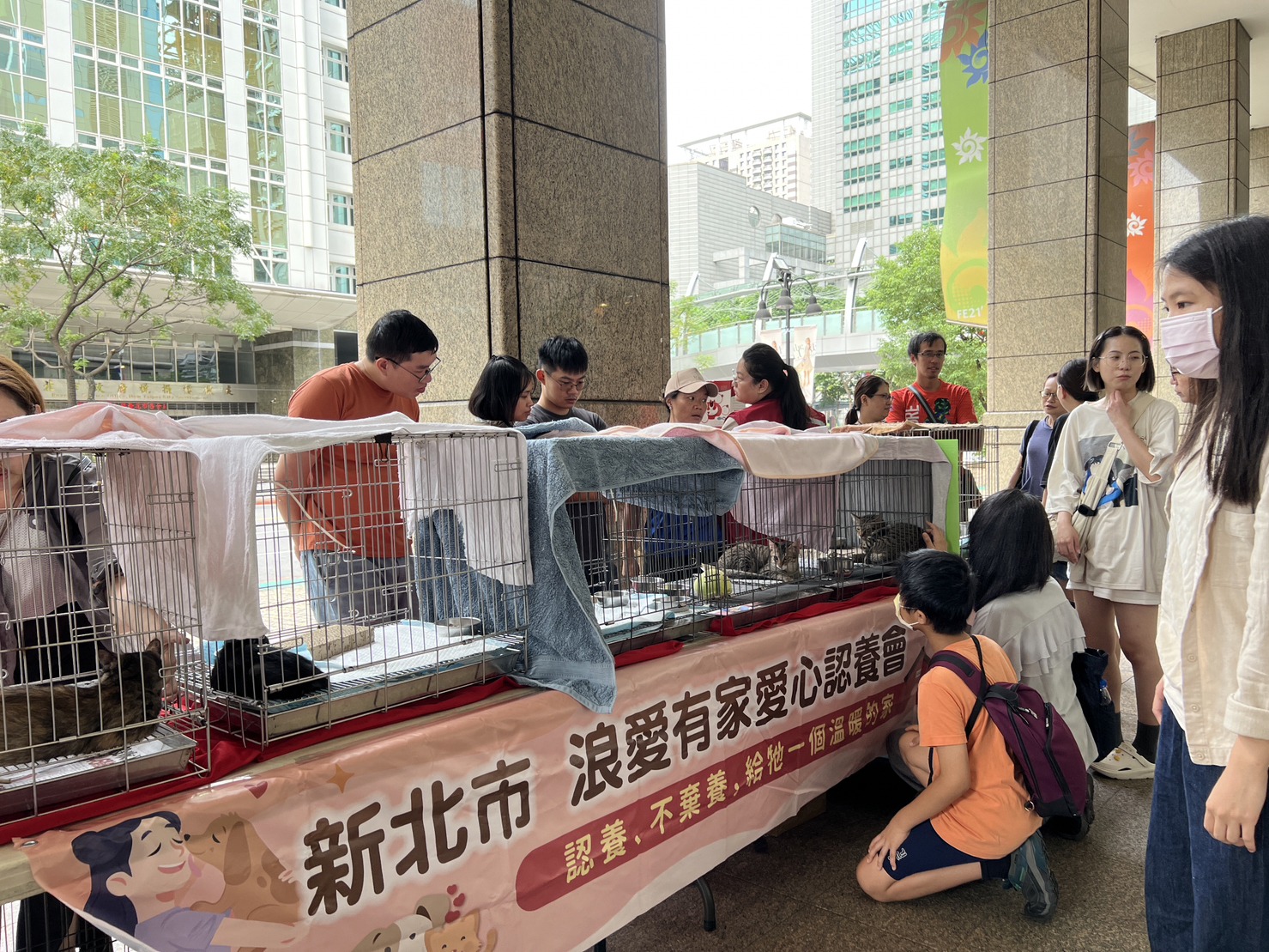動保處不定期辦理寵物認養會