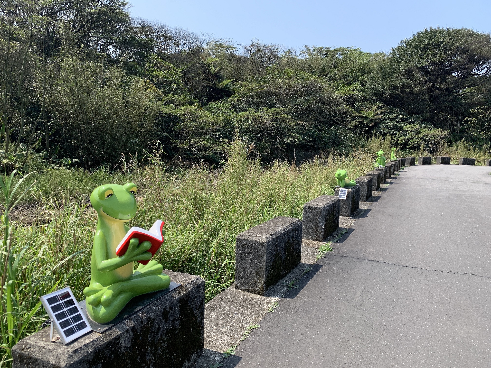 屯山荷花園周邊的青蛙裝置藝術