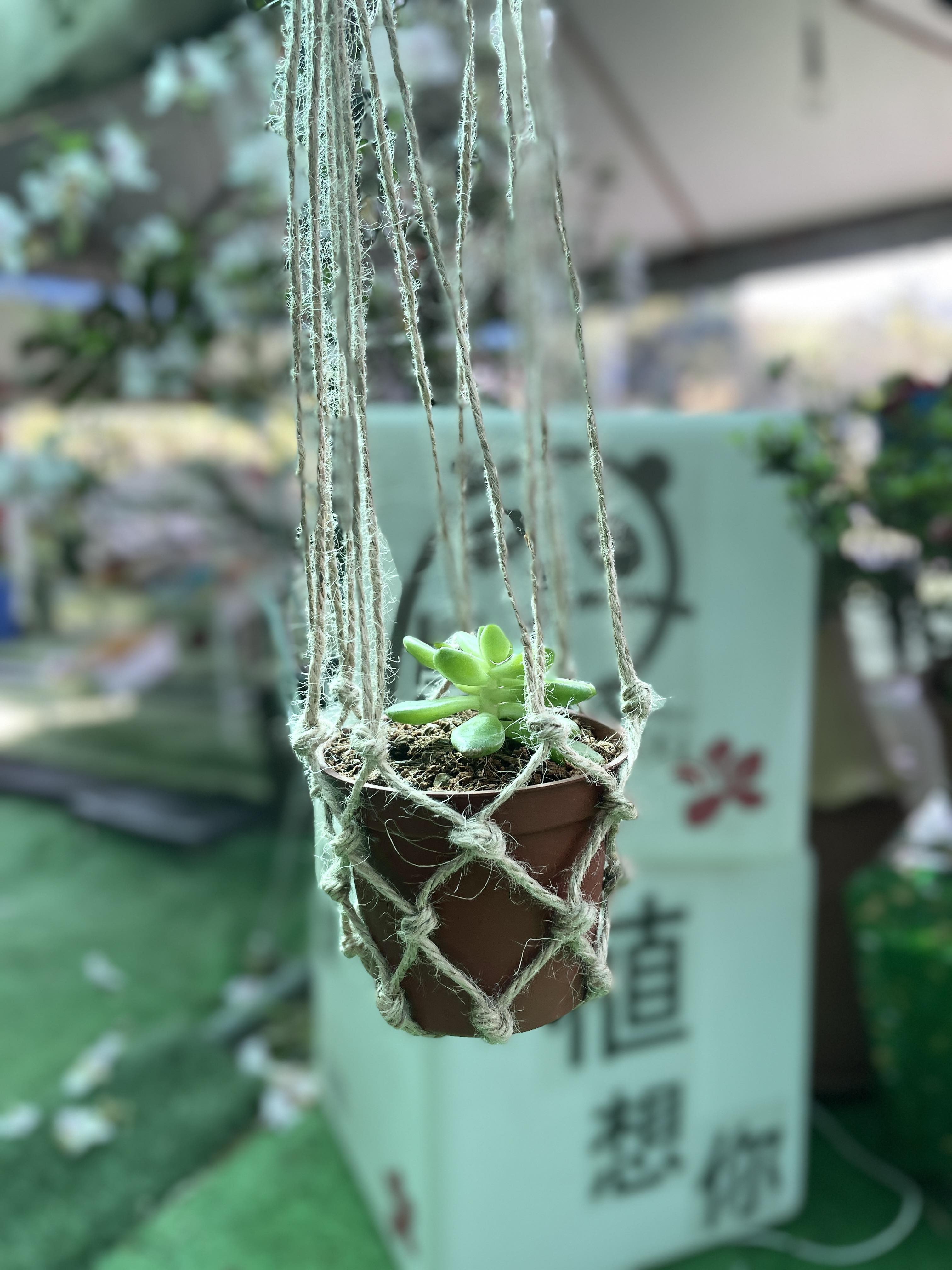 熊熊杜鵑花圃坊DIY編織提籃