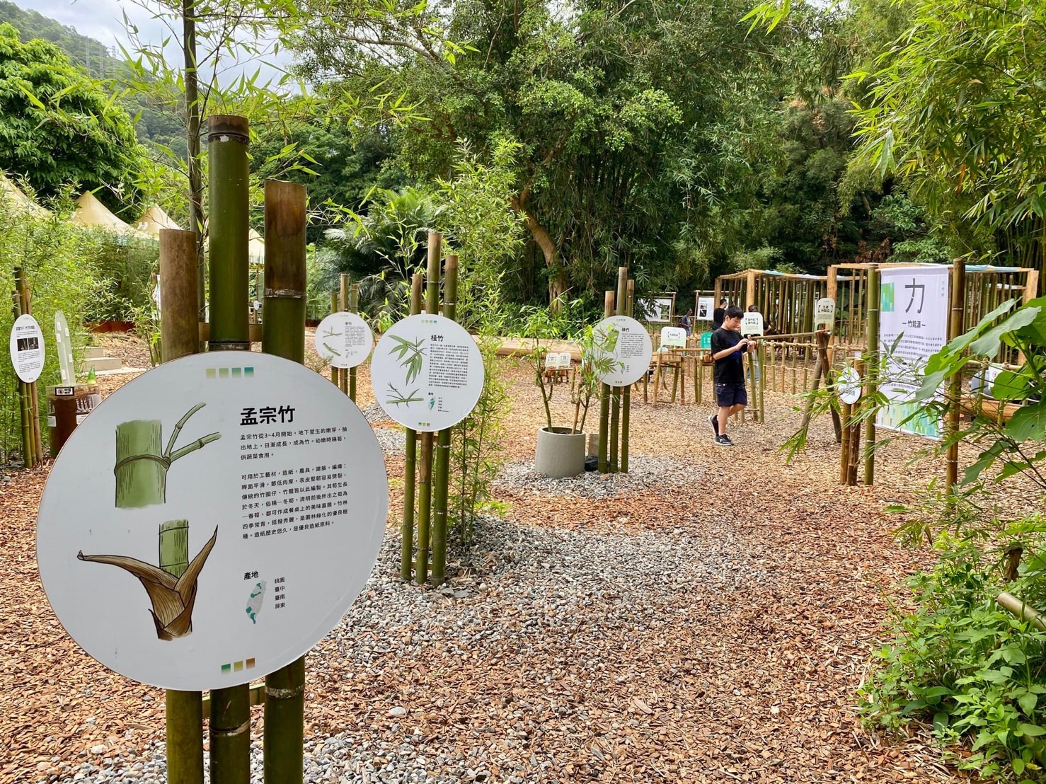 宜蘭綠博特色展區-竹林系(林業固碳)