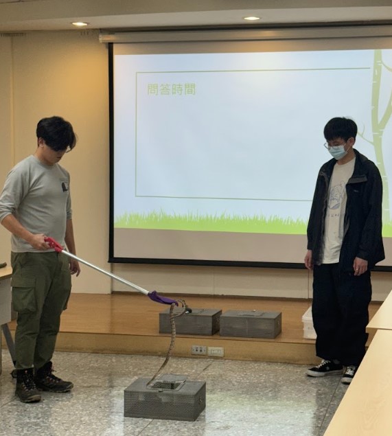 講師示範安全蛇夾捕捉蛇類