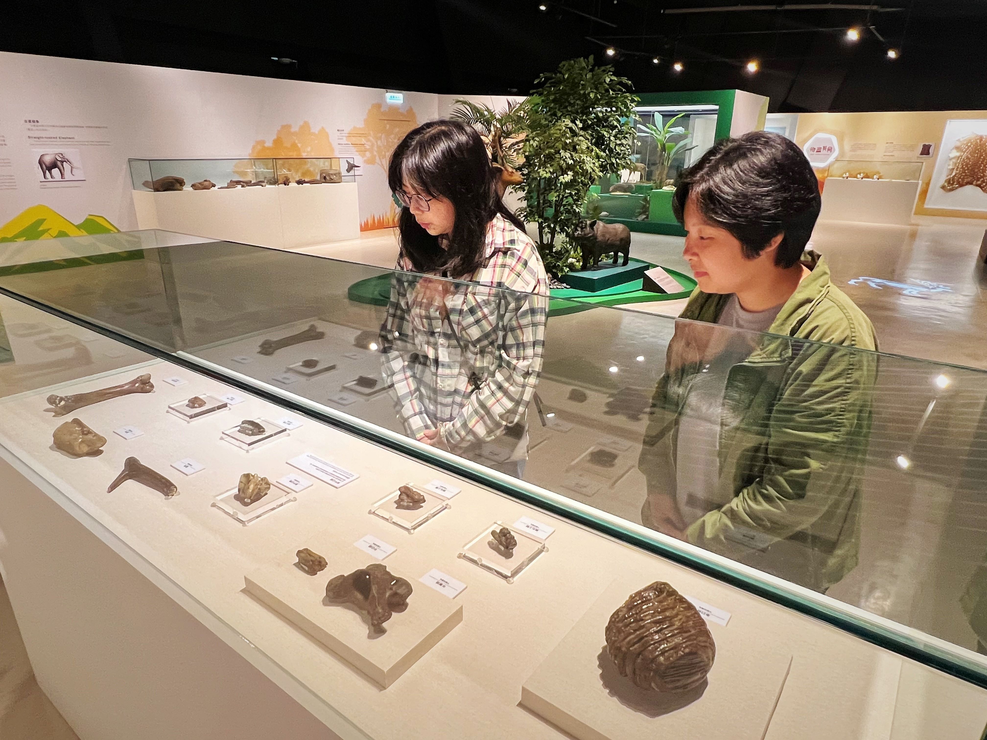  圖1臺灣史前動物特展精選動物化石、漁獵工具及動物圖騰工藝品等展品
