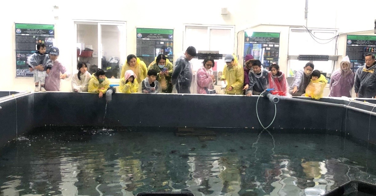 來海洋資源復育園區認識花枝