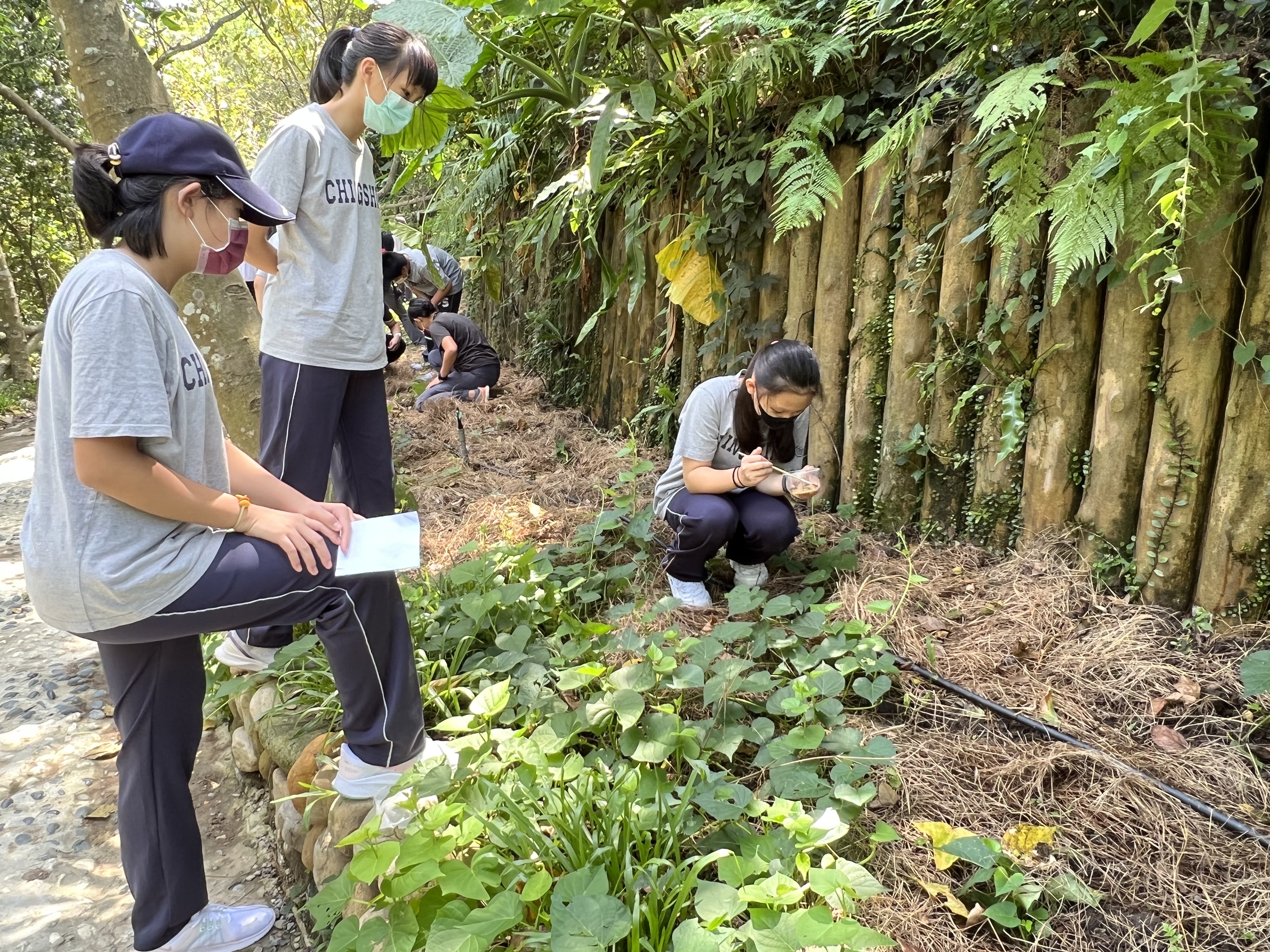 新北市農會於文山農場與學童合作復育螢火蟲