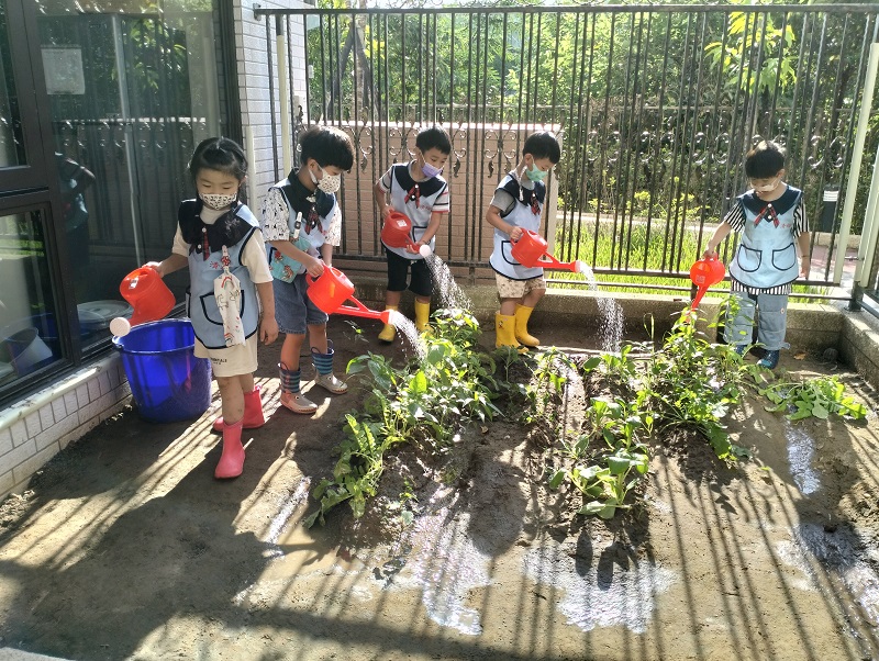 清福長照附設清福幼兒園，孩子們在澆灌開心農場。