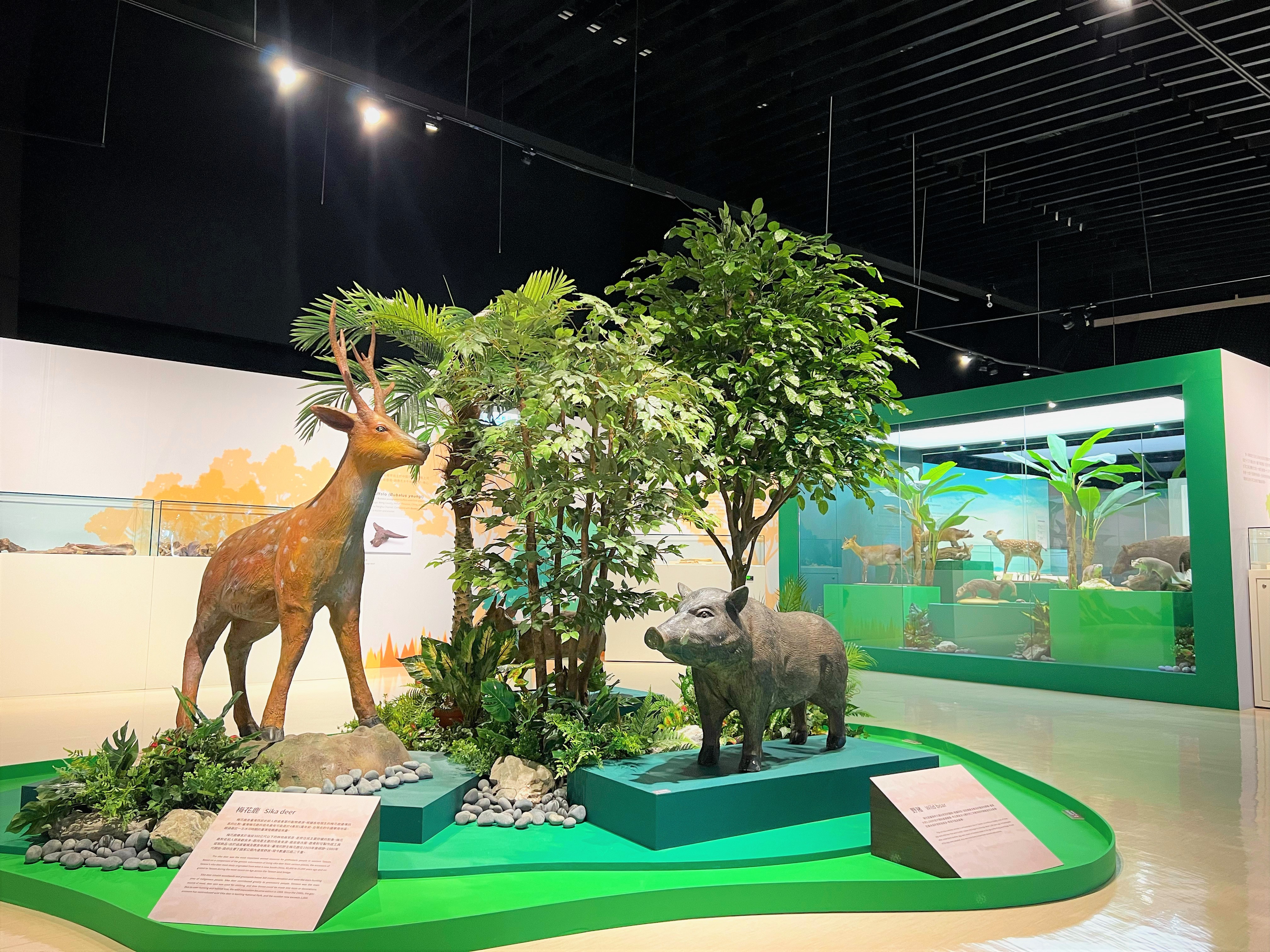 十三行博物館「臺灣史前動物特展」古代叢林的擬真造景，彷彿置身於史前動物園。