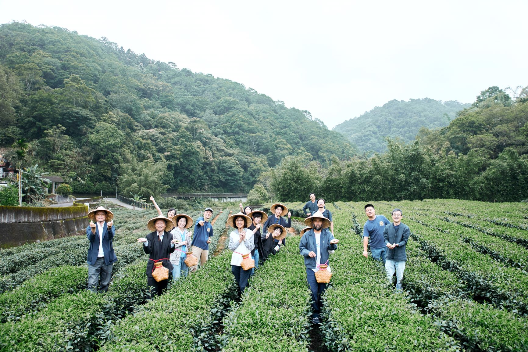 協會也推廣食農教育，讓民眾知道茶葉生產流程