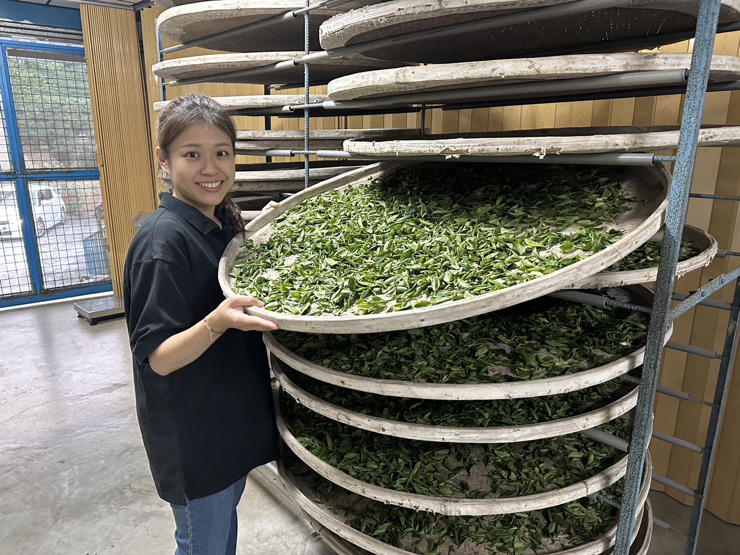  新北女青農林孟諭與丈夫黃耀寬傳承百年茶行茶香