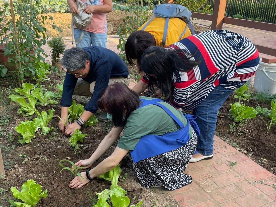 新北「城市綠美學輔導團」提供可食地景相關諮詢