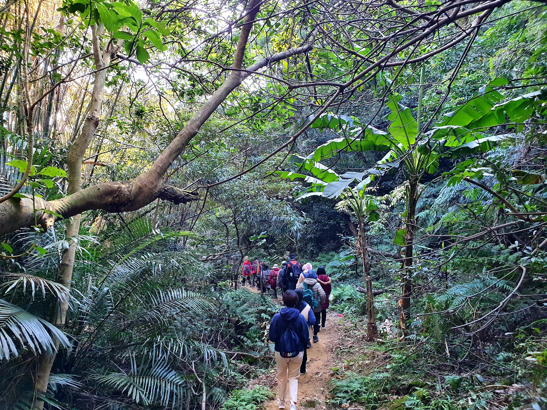  民眾行走在微笑山線大縱走旅遊路線大棟山系段