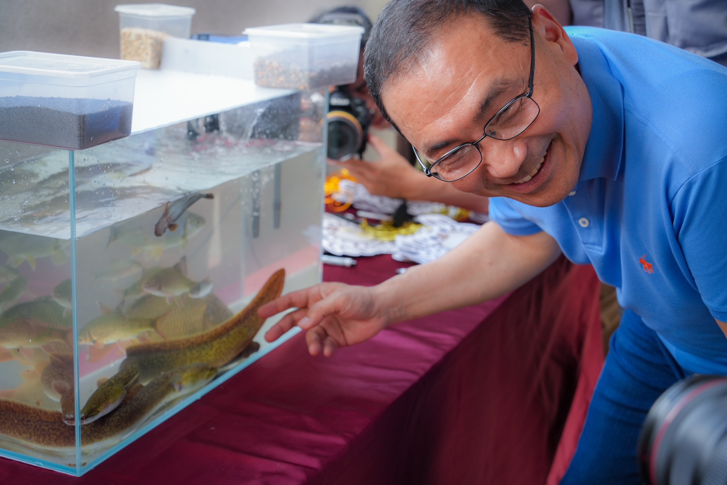 碧潭堰魚道已可讓43種不同的魚、蝦、蟹有一條安全洄家的路