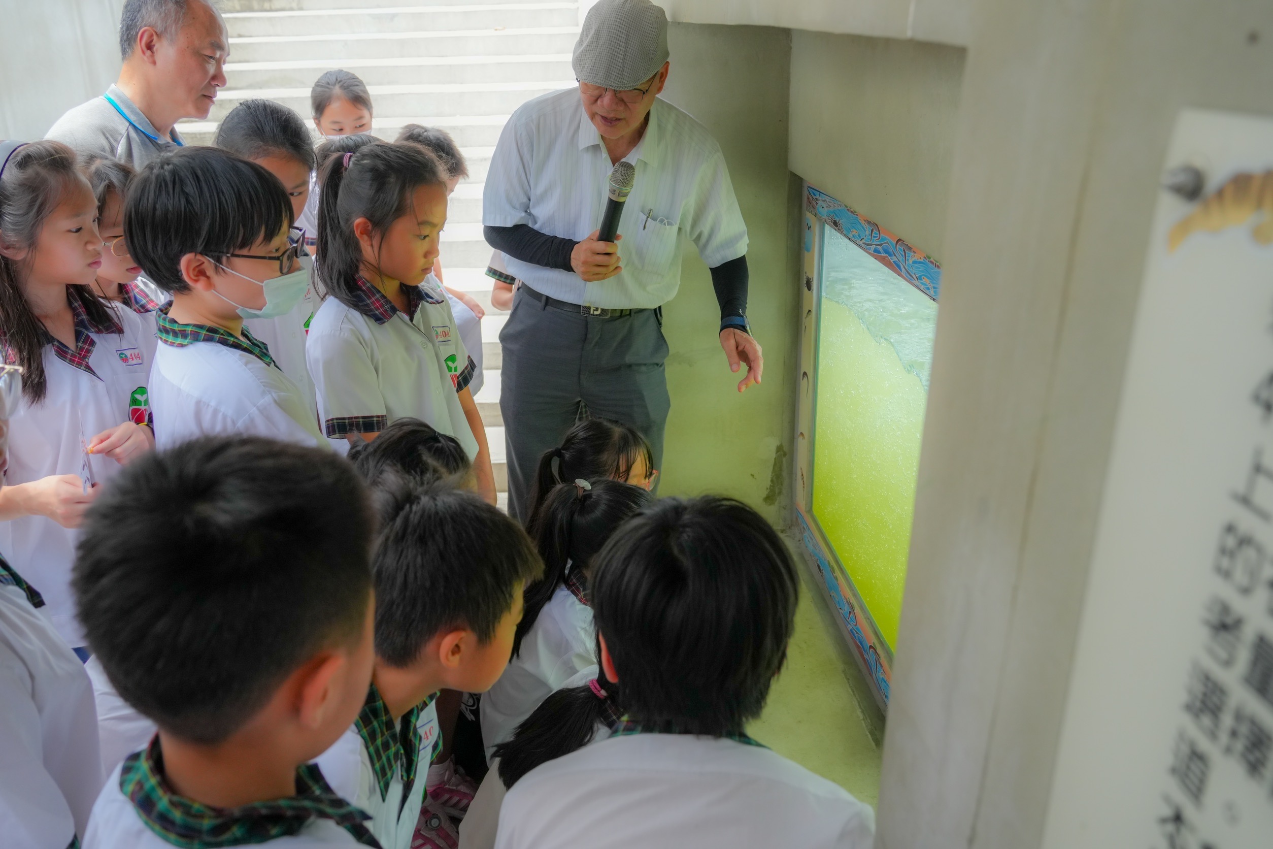 生態團隊清華大學曾晴賢教授，向新和國小師生導覽解說碧潭堰的魚道功能