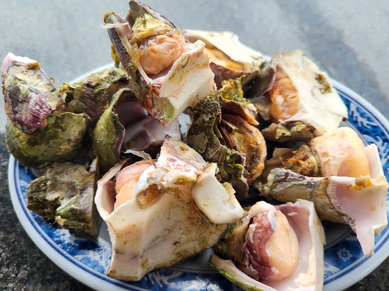 藤壺肉呈現粉色