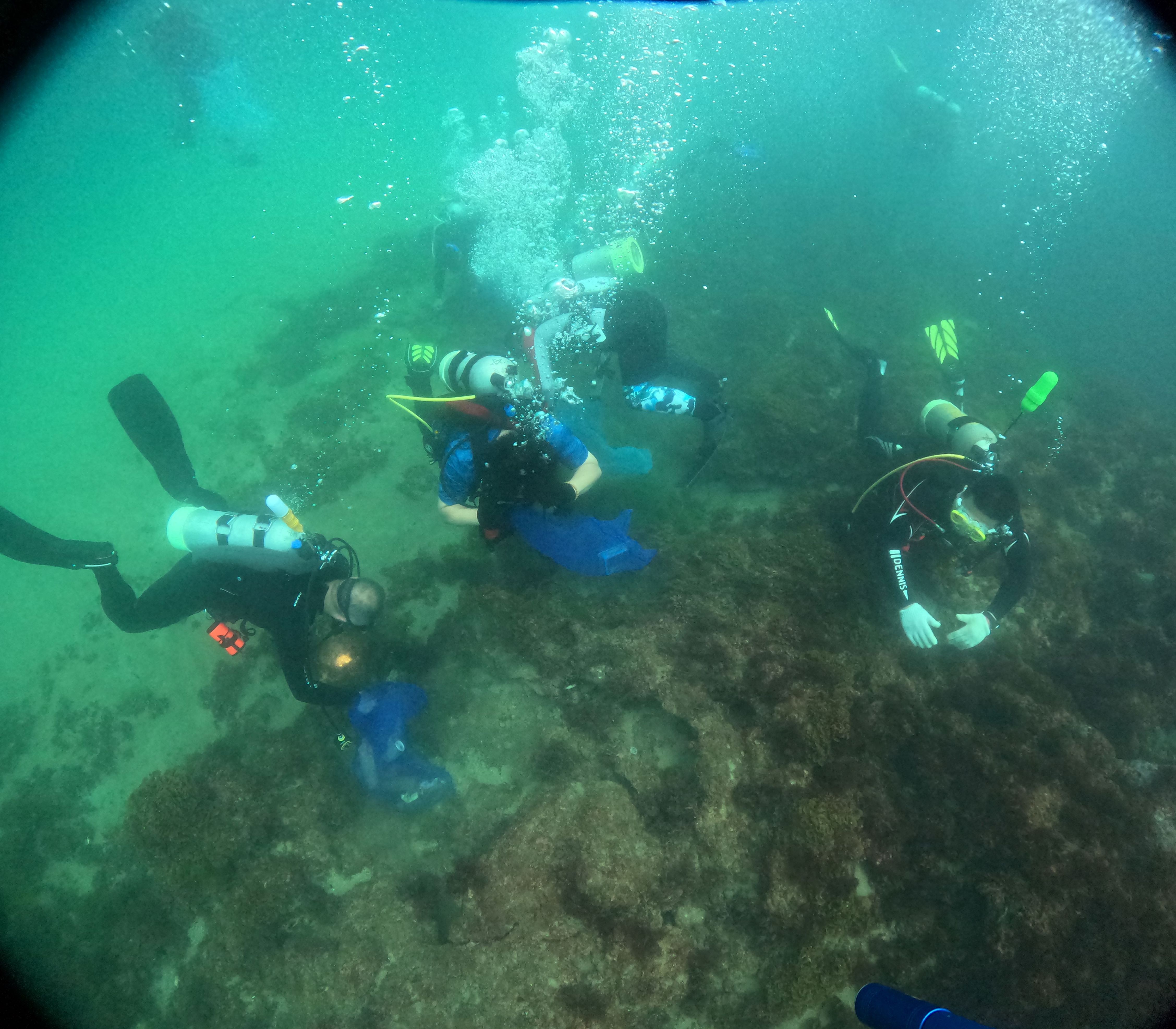 潛海戰將淨海