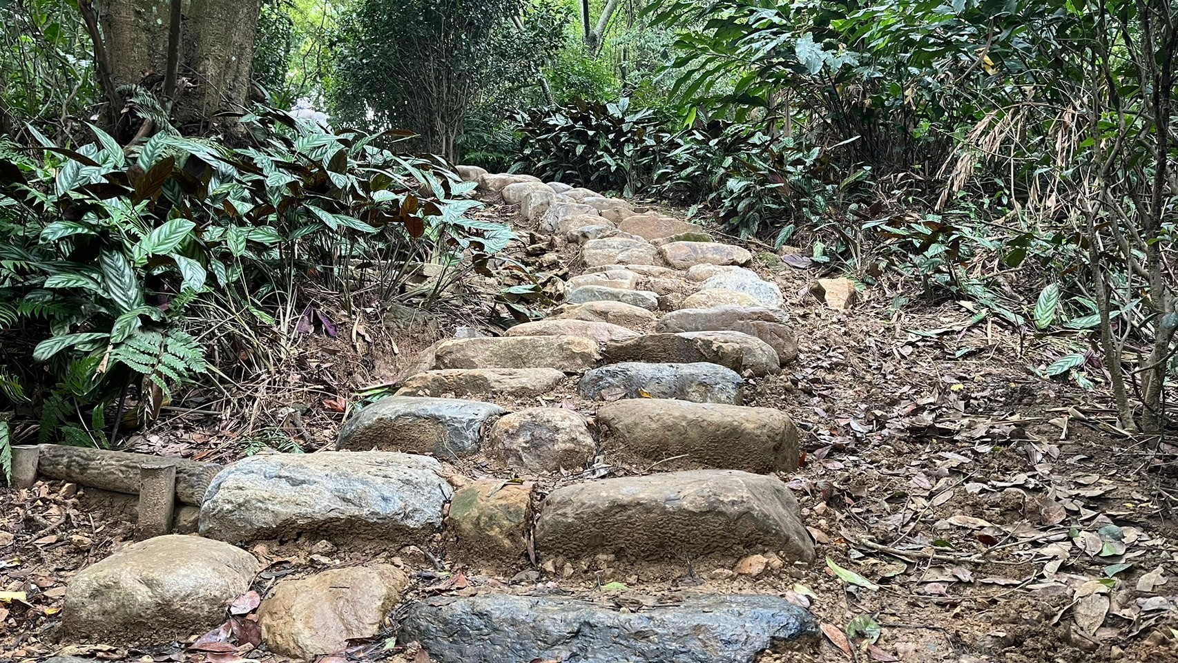 以塊石堆砌而成的砌石階梯，營造自然步道