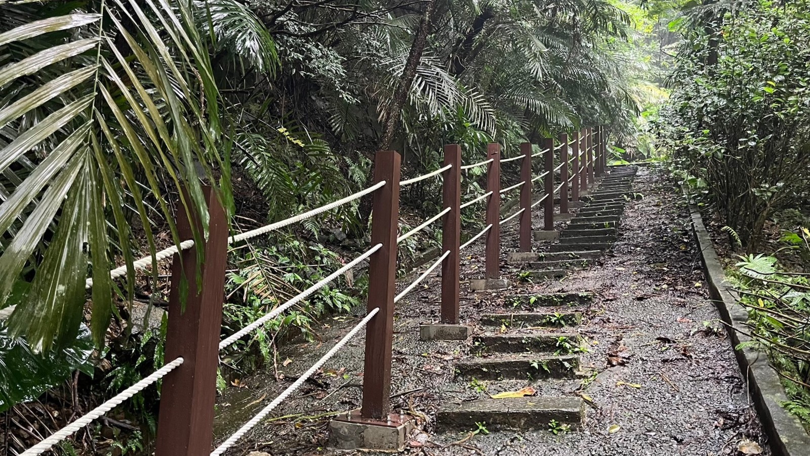 優化步道欄杆-自然透視欄杆，以降低維護管理成本
