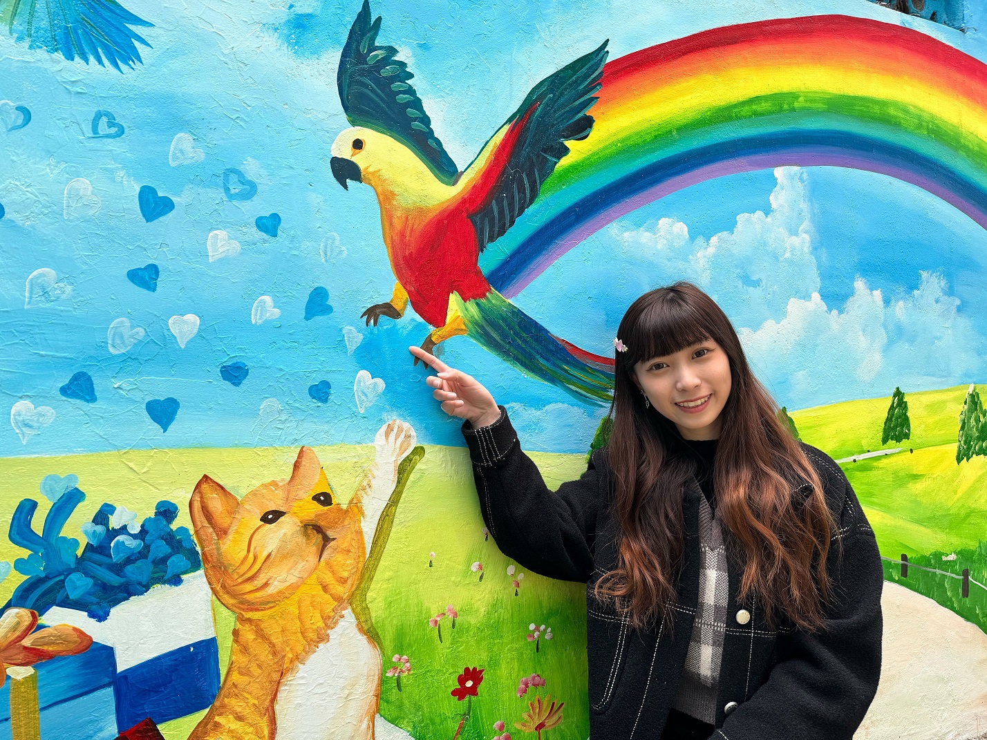 披著彩虹的鸚鵡，與好奇的貓咪