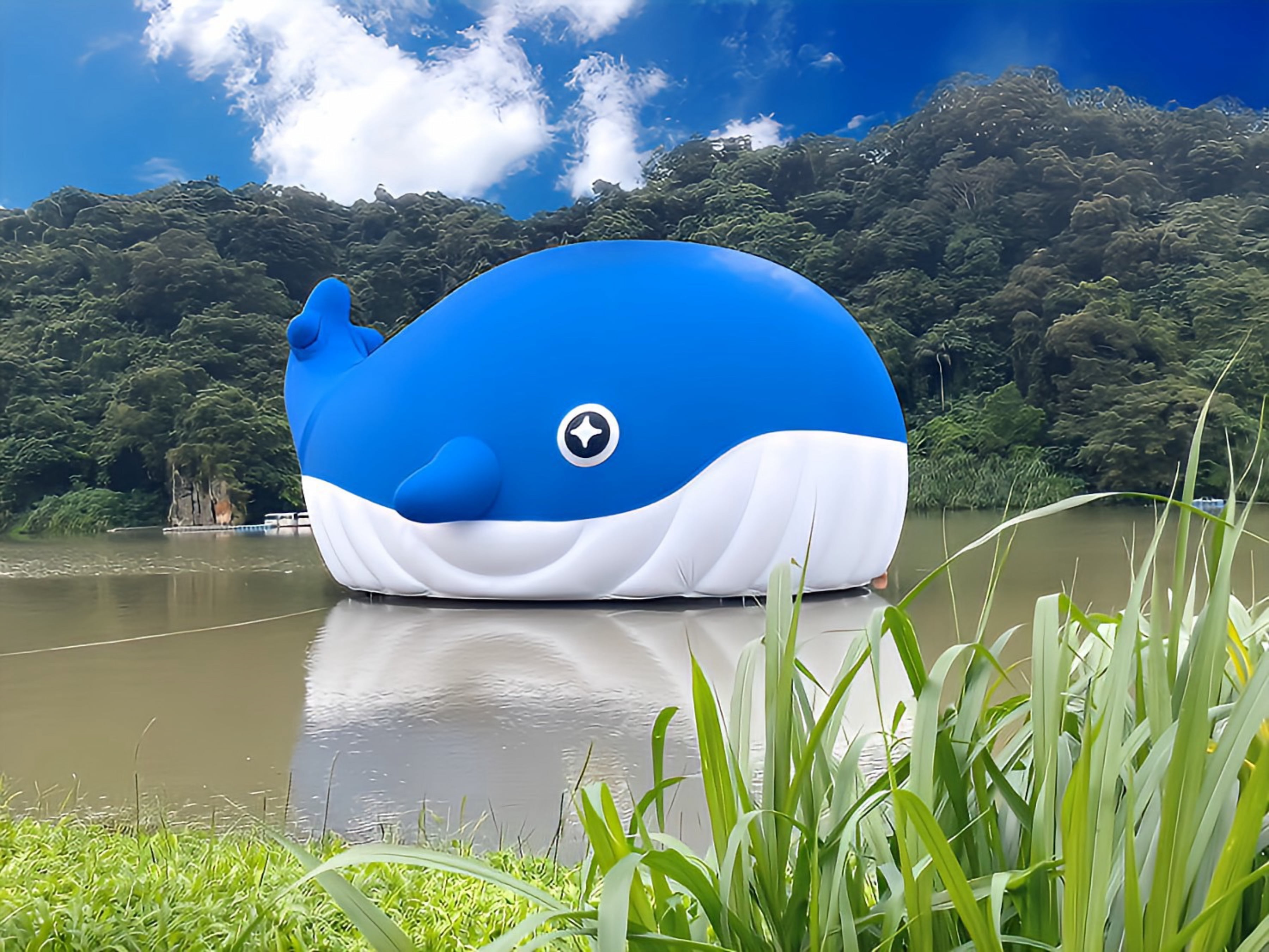 巨型超萌鯨魚來到新北碧潭現身，自6月22日起和大家見面！