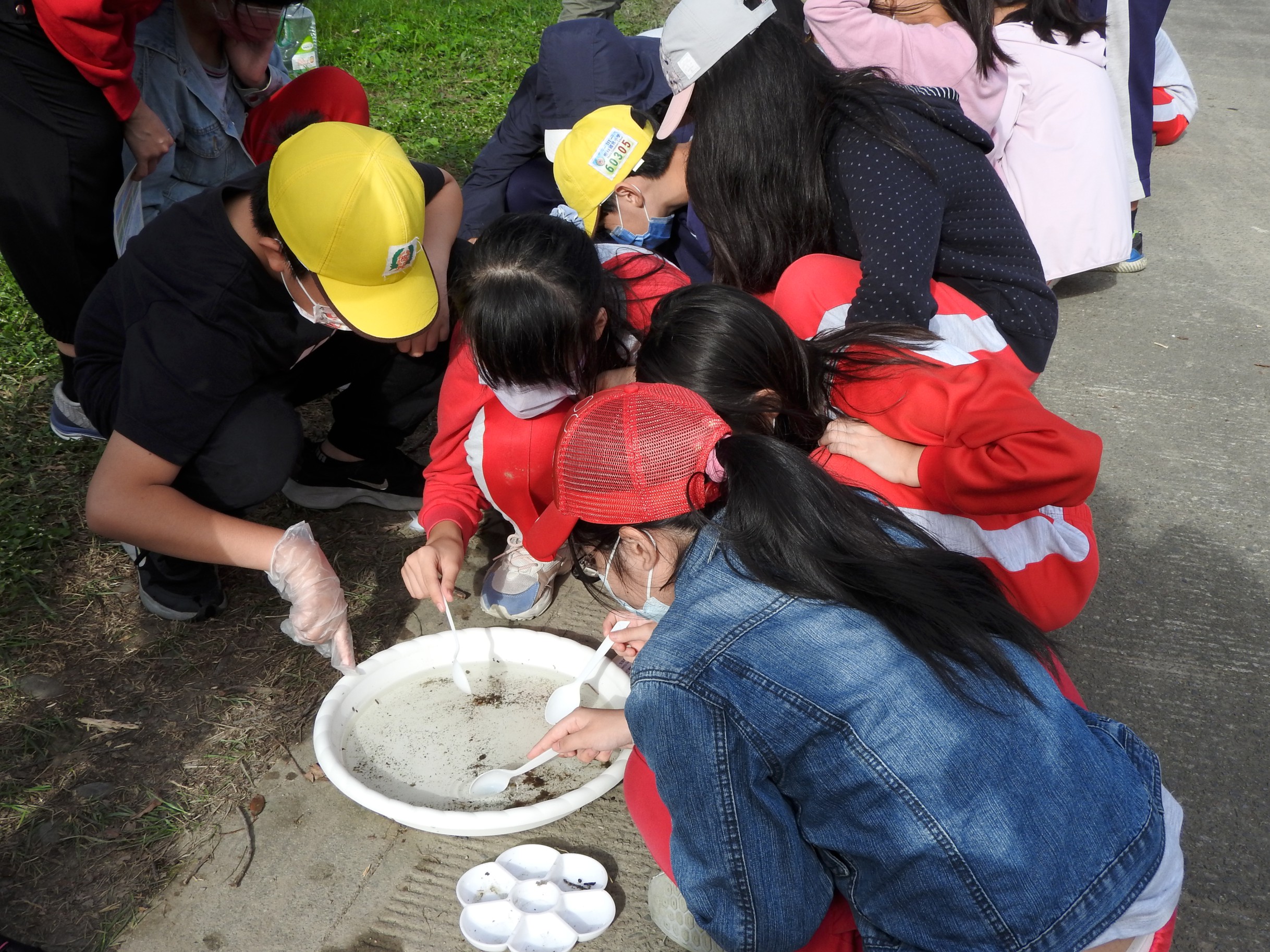 鹿角溪溼地水棲生物觀察記錄