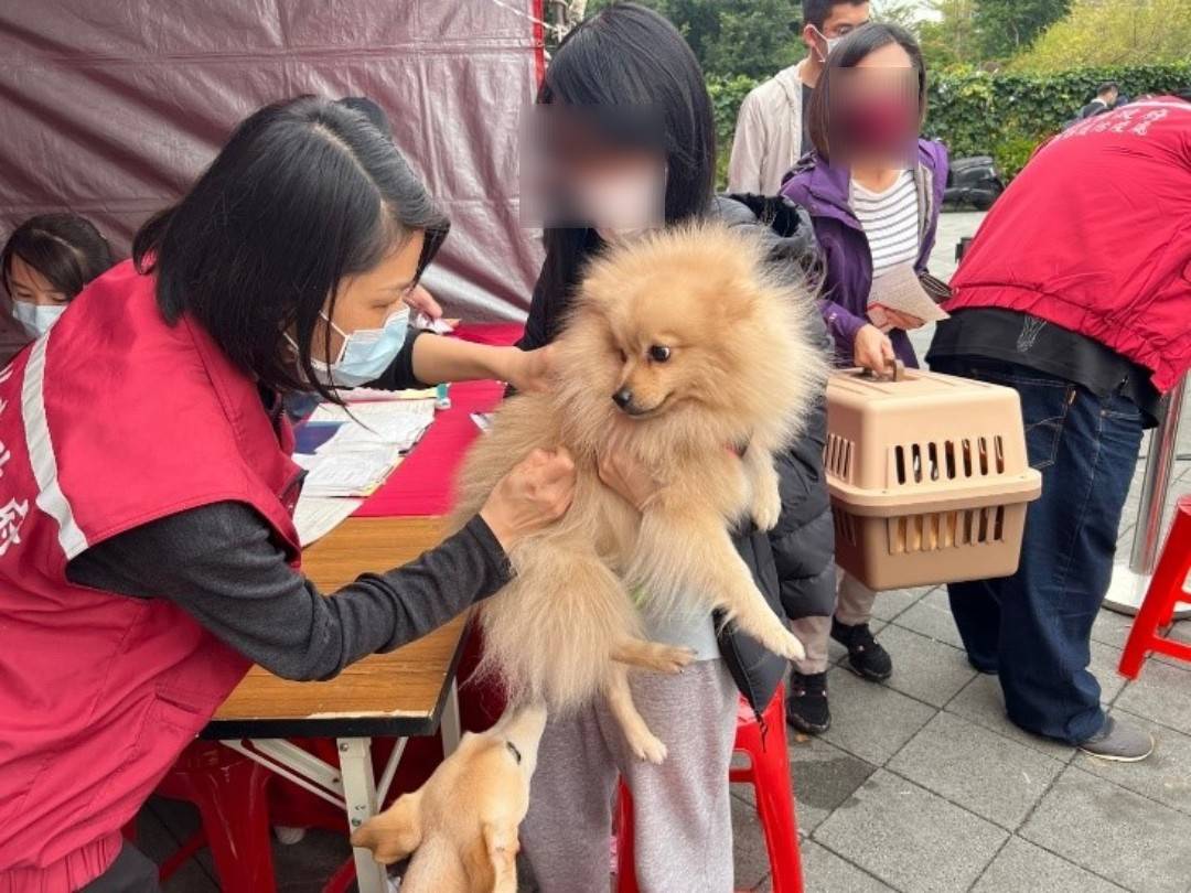 新北市動保處巡迴注射狂犬病疫苗