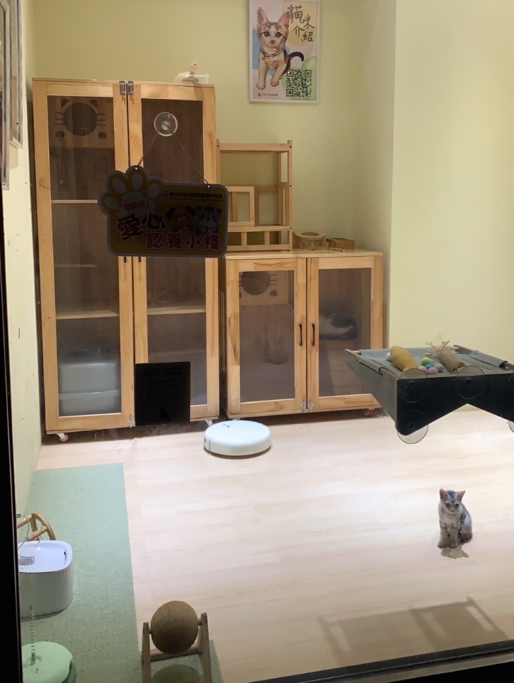 「貓．領事館」是愛心認養小棧
