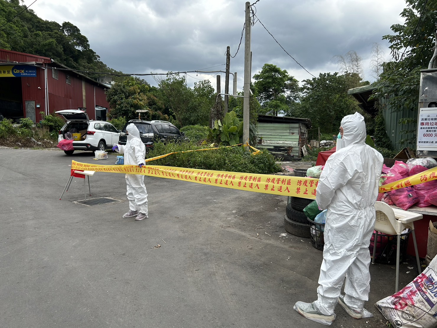 泰山區泰林路3段330巷雨水下水道出現豬屍，拉起防疫封鎖線。