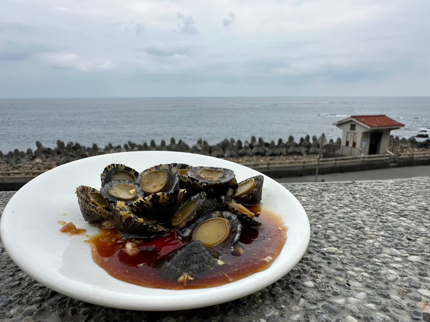 漁村私房料理-醃漬海鋼盔鮮味十足