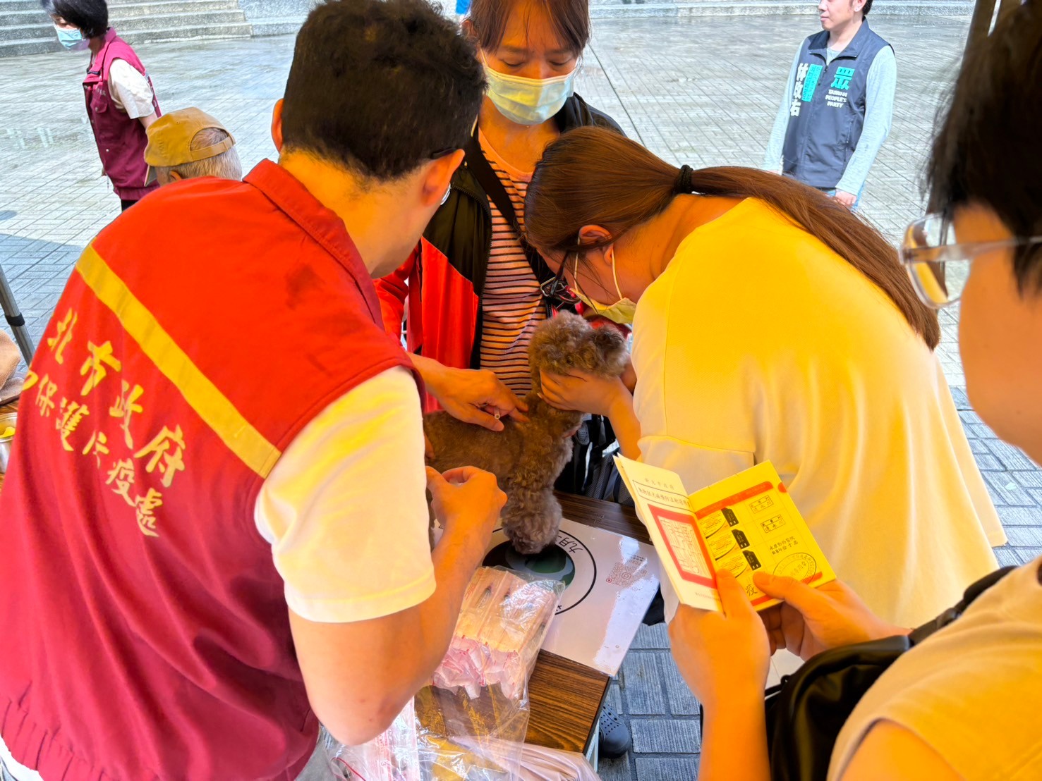 取得飼養寵物認證數位卡每年施打狂犬病疫苗免費