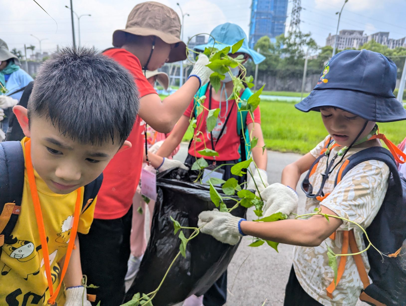 濕地夏令營-移除小花蔓澤蘭