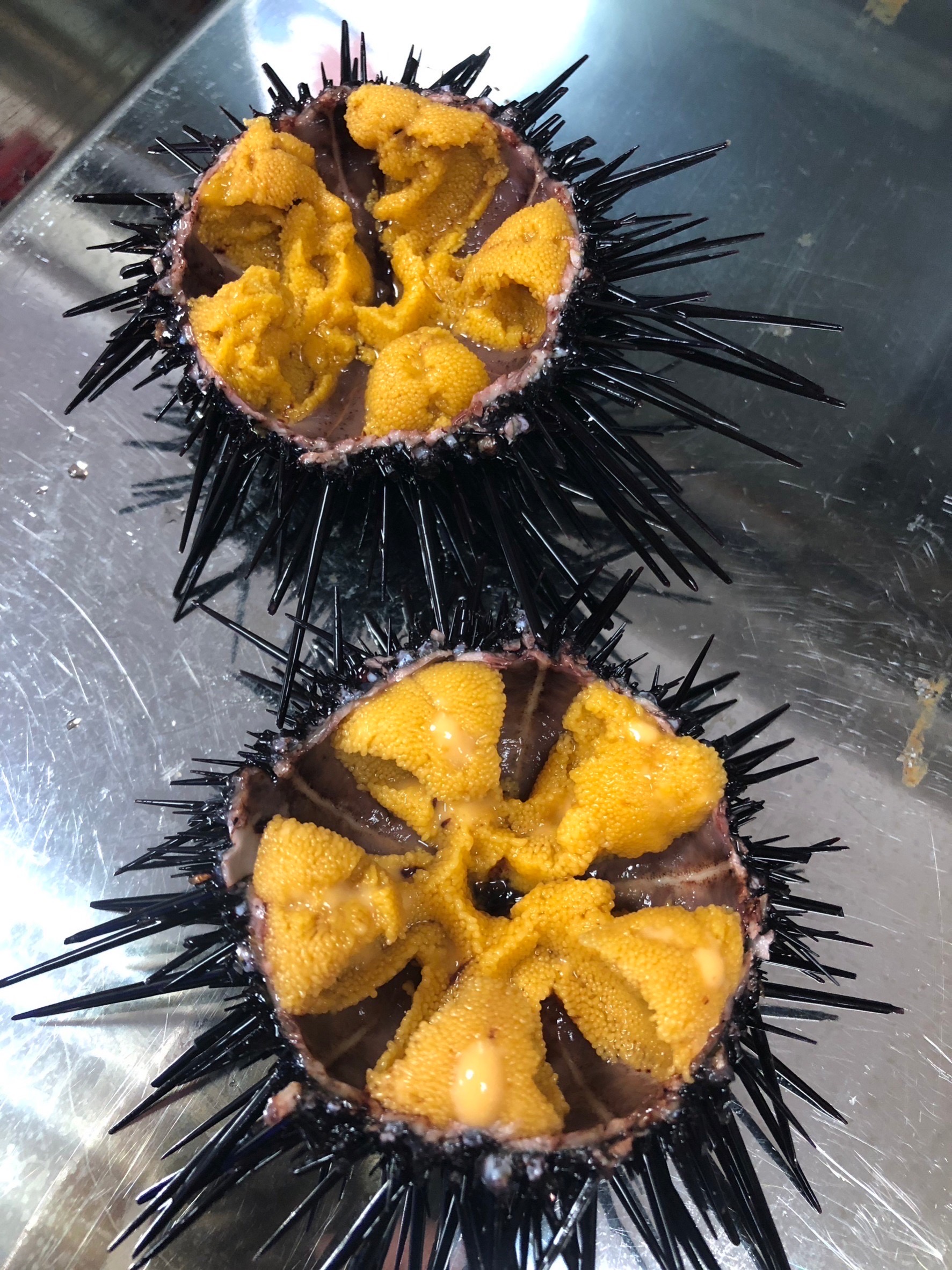 新鮮現剖金黃色澤