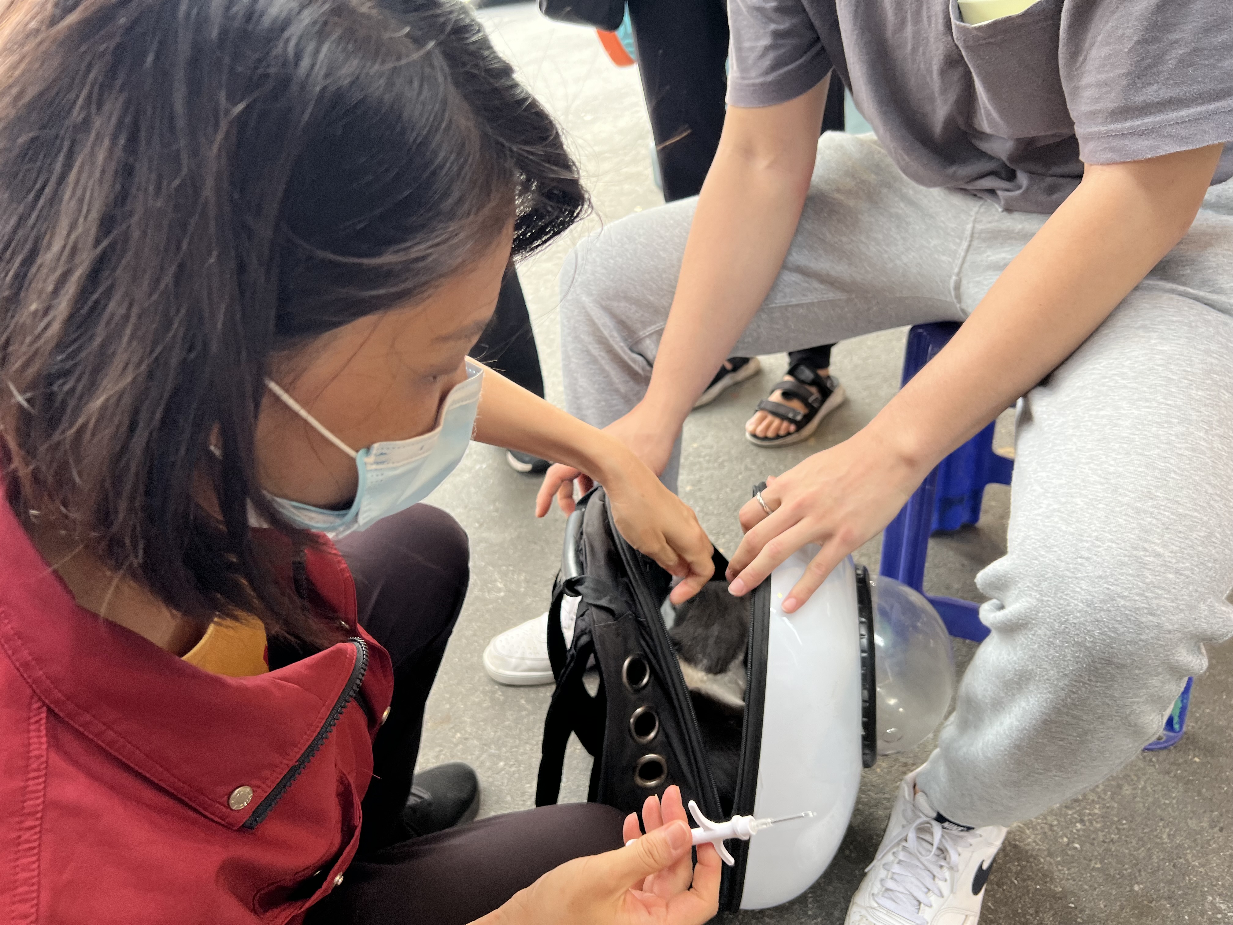 民眾用外出籠攜帶貓前往狂犬病疫苗注射巡迴活動施打晶片。