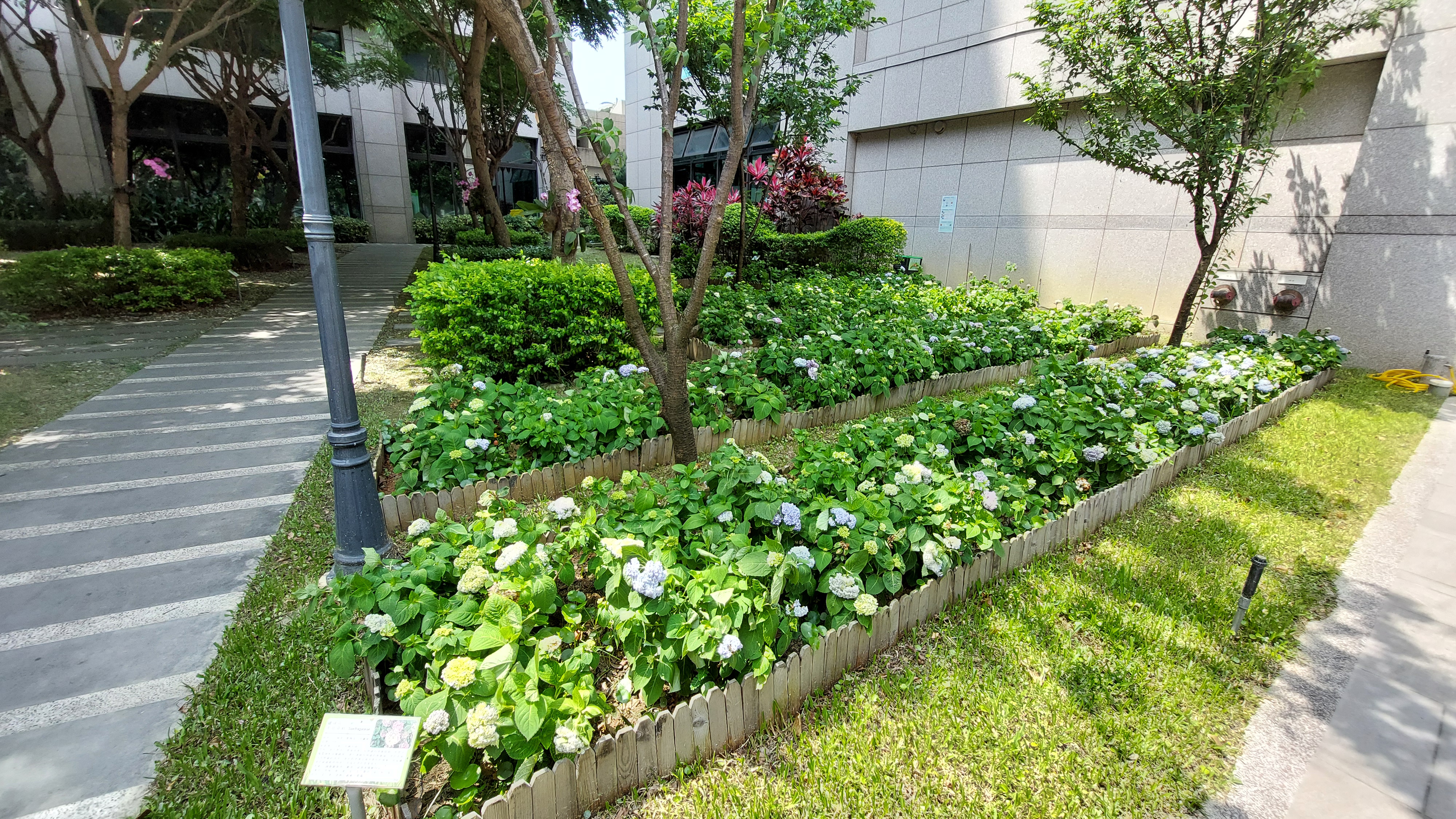 合新合心社區選用原生種及耐陰性灌木，增加生物多樣性及層次感，營造鳥類、昆蟲棲息地