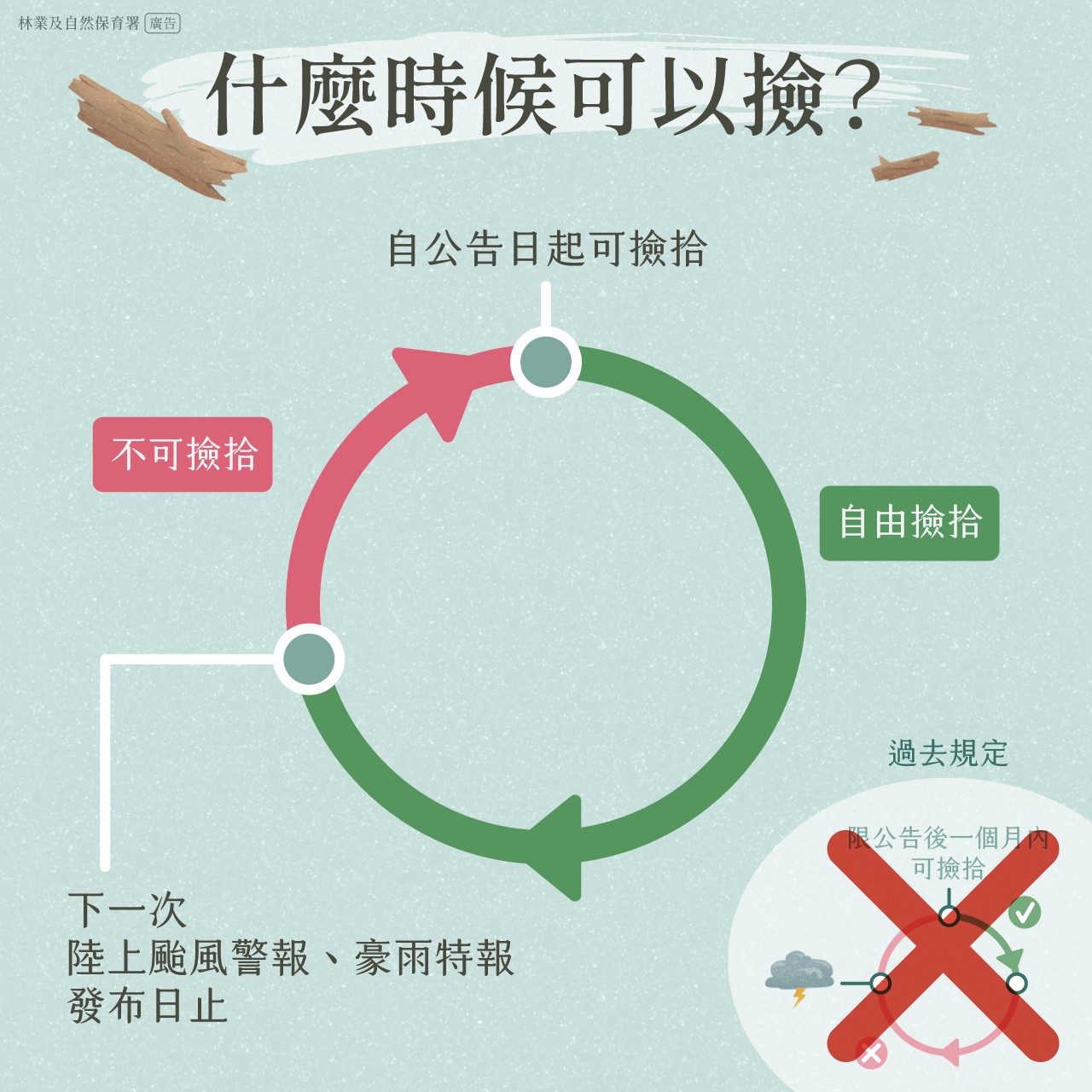 林業署撿拾漂流木時間說明文宣