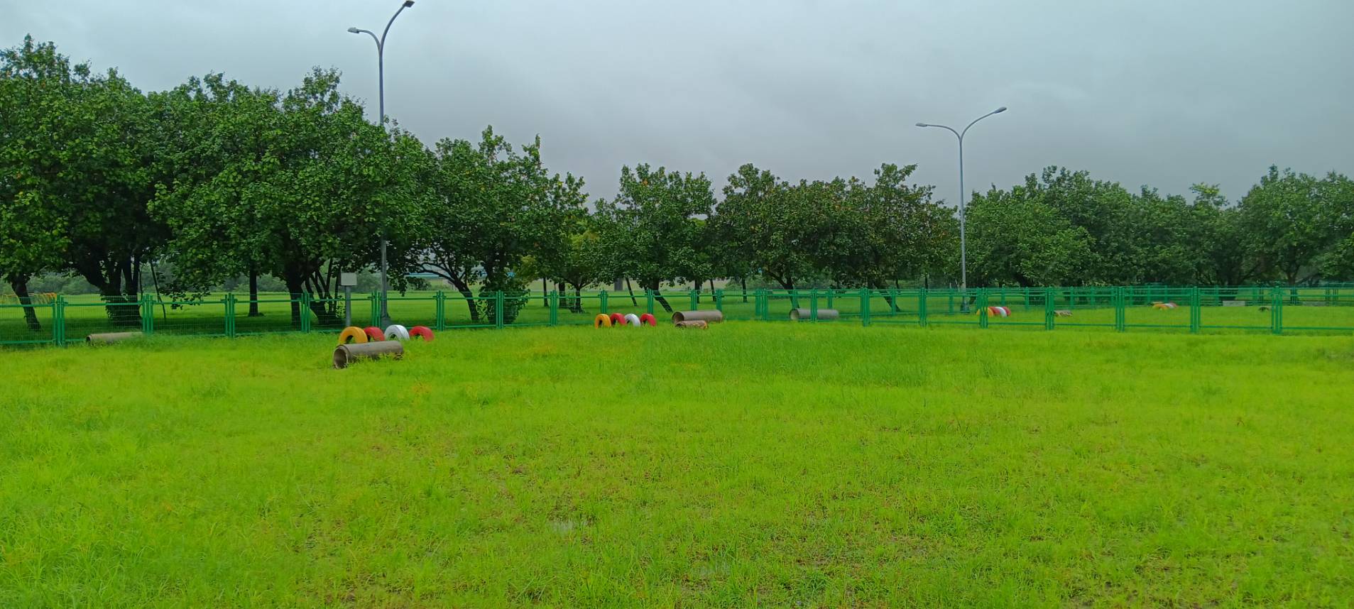  浮洲寵物公園全新升級更大空間，讓毛孩可以自由奔跑