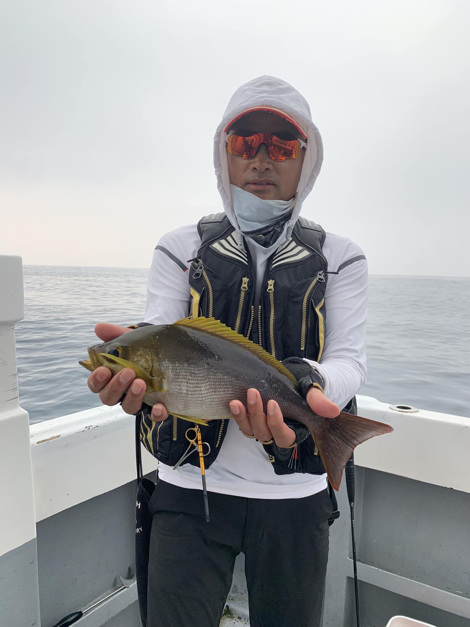 漁民楊景發先生一隻釣黃雞魚