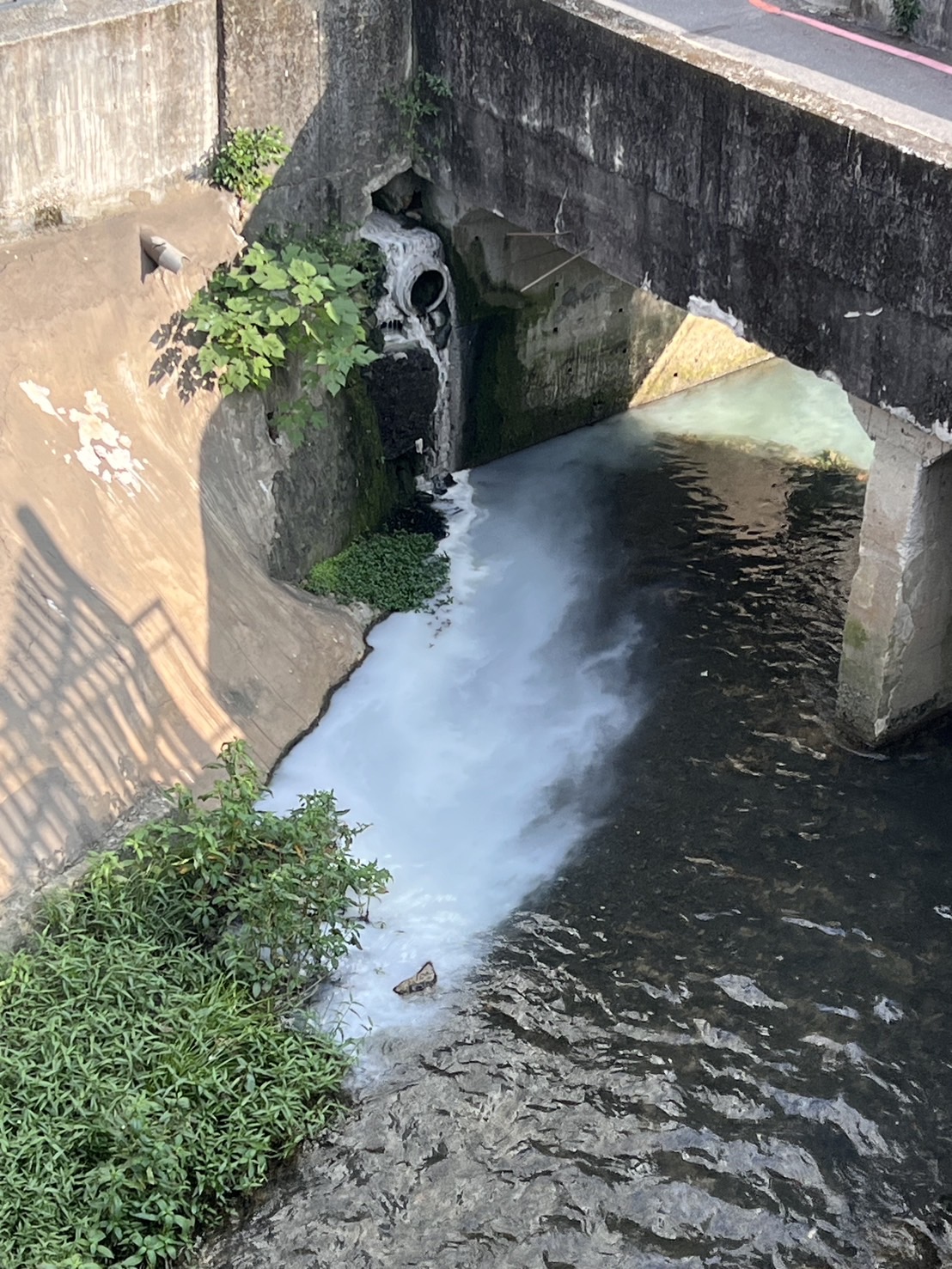 白色廢水污染情形