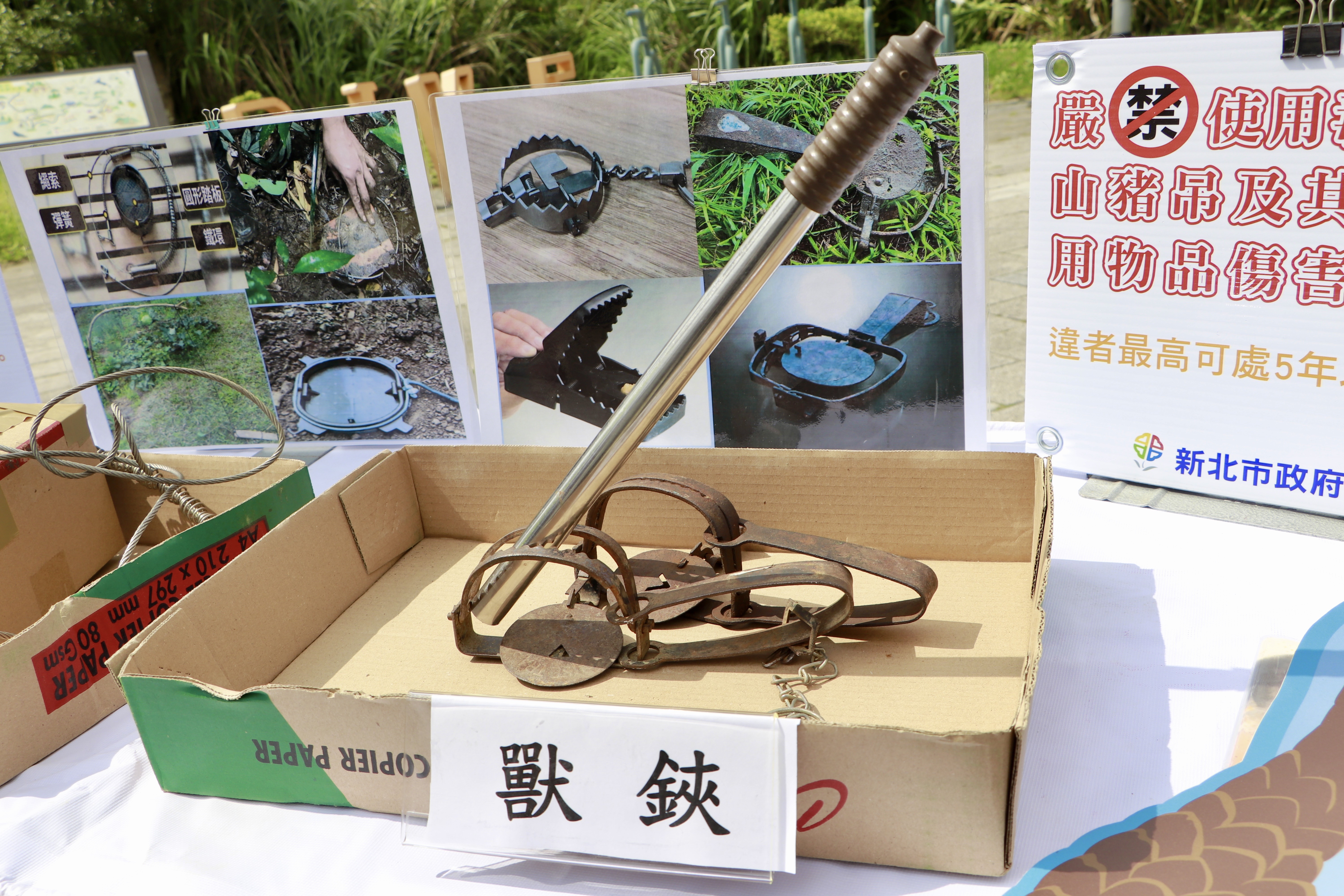 以鐵棍模擬動物踩到獸鋏情形