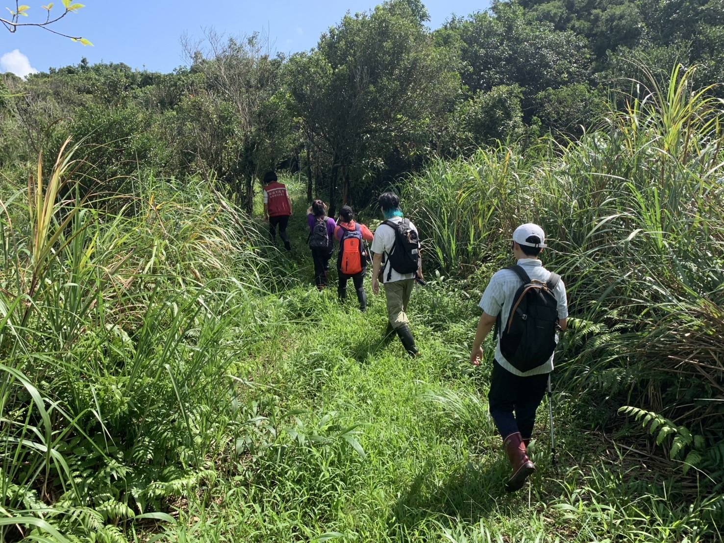 新北市動保處及志工們巡查山間是否有架設獸鋏