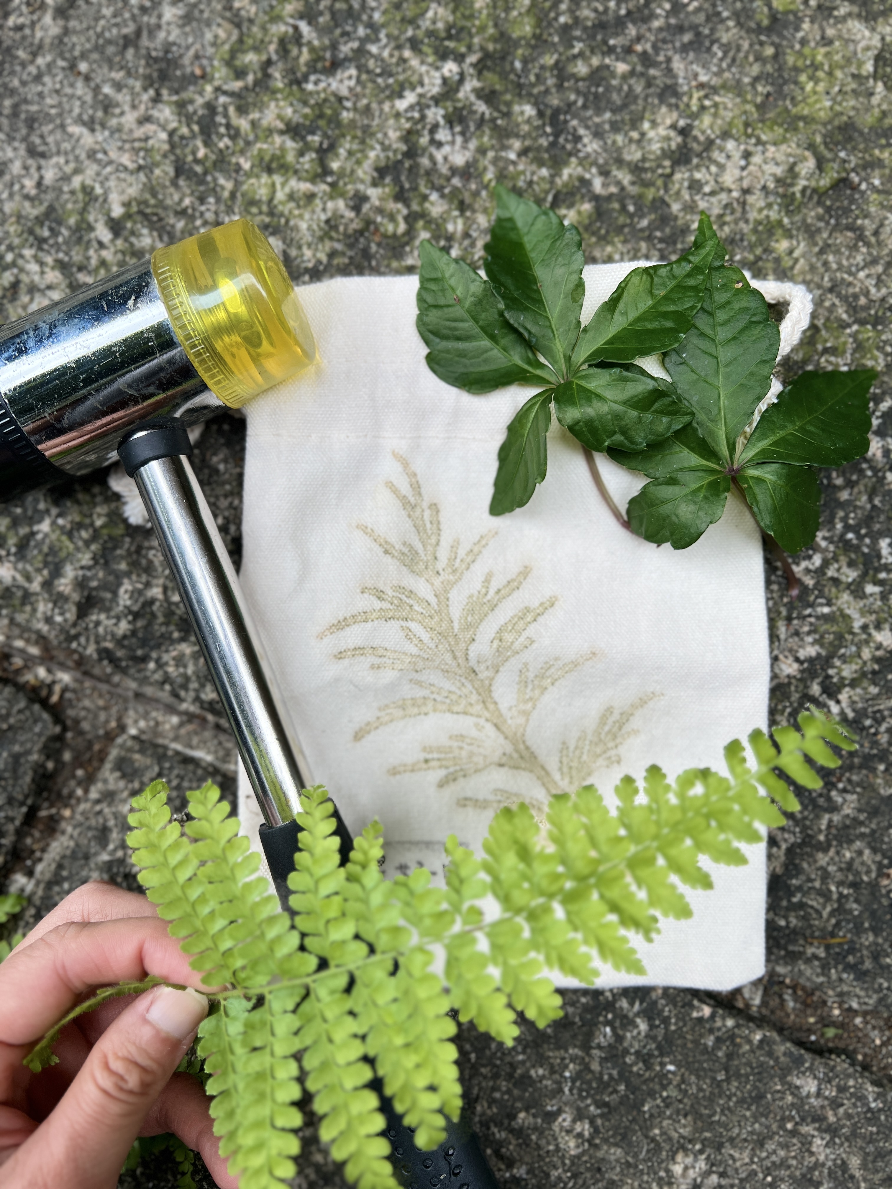 以新北農村社區的在地植物進行拓印，為旅程留下美好的回憶
