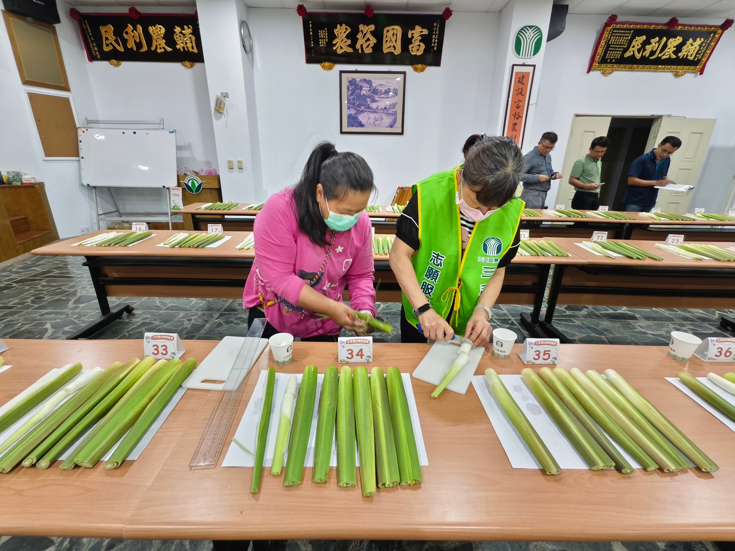 剝白組茭白筍縱切，以目測評定成熟整齊度及肉質等項目
