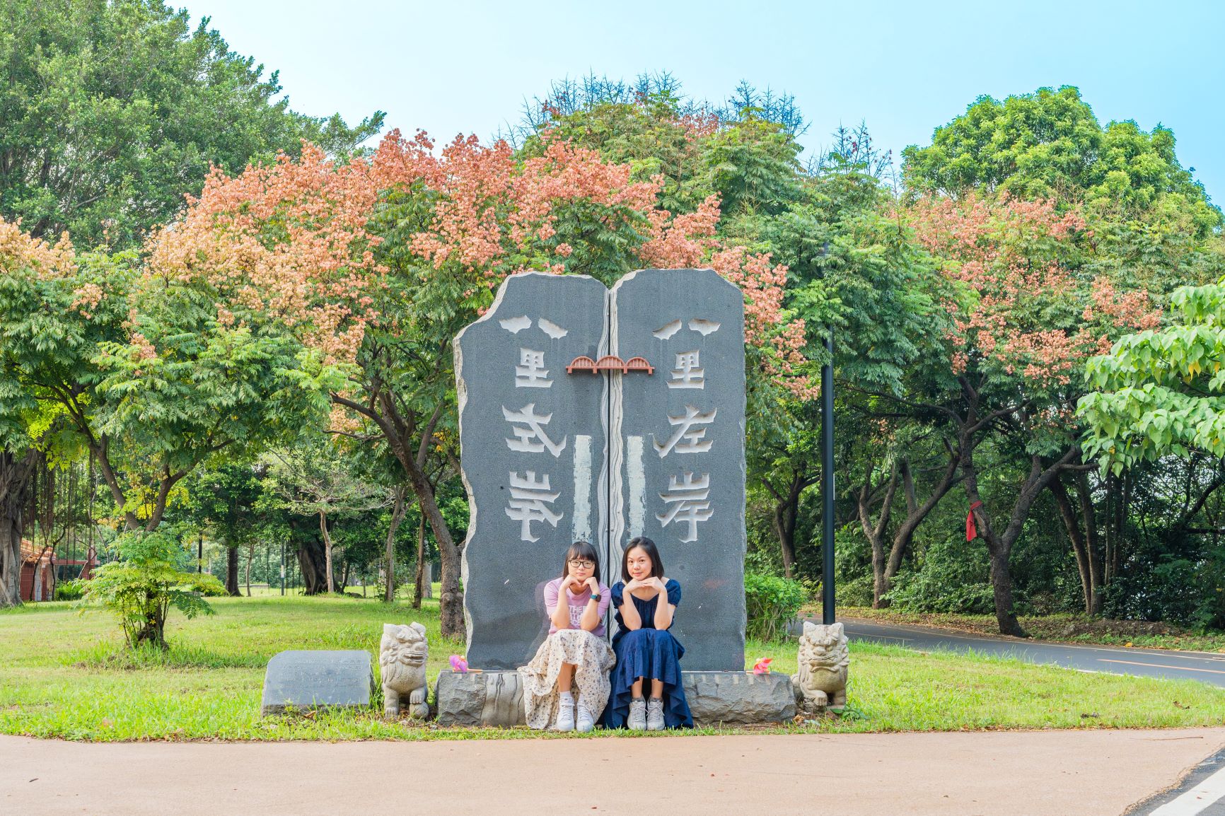 八里左岸地標旁河濱公園臺灣欒樹粉紅蒴果結實纍纍