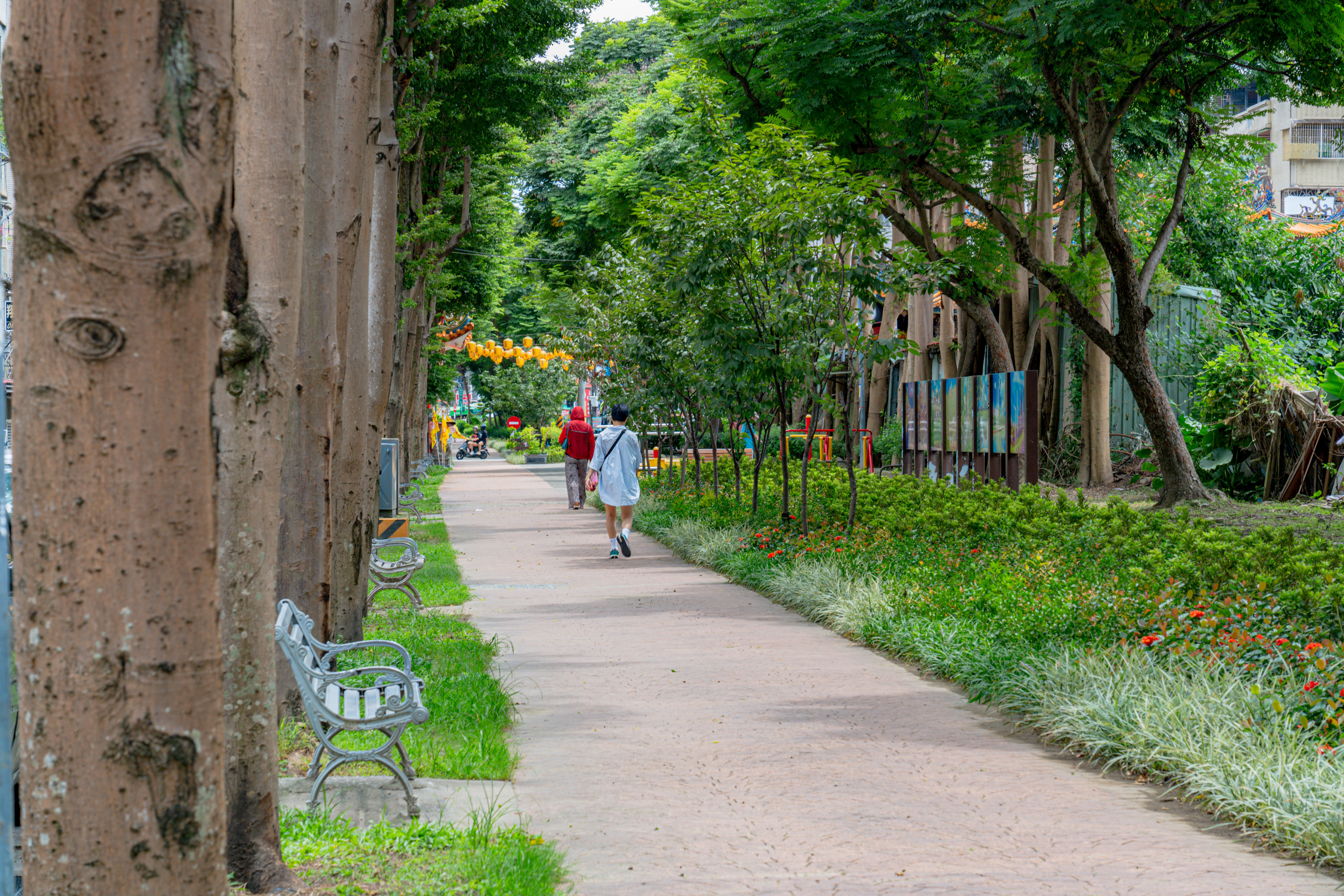 這座公園綠帶上屬於都會型的景觀廊道，兼具生態、美感與友善的路廊空間，漫步其中也能讓人心曠神怡