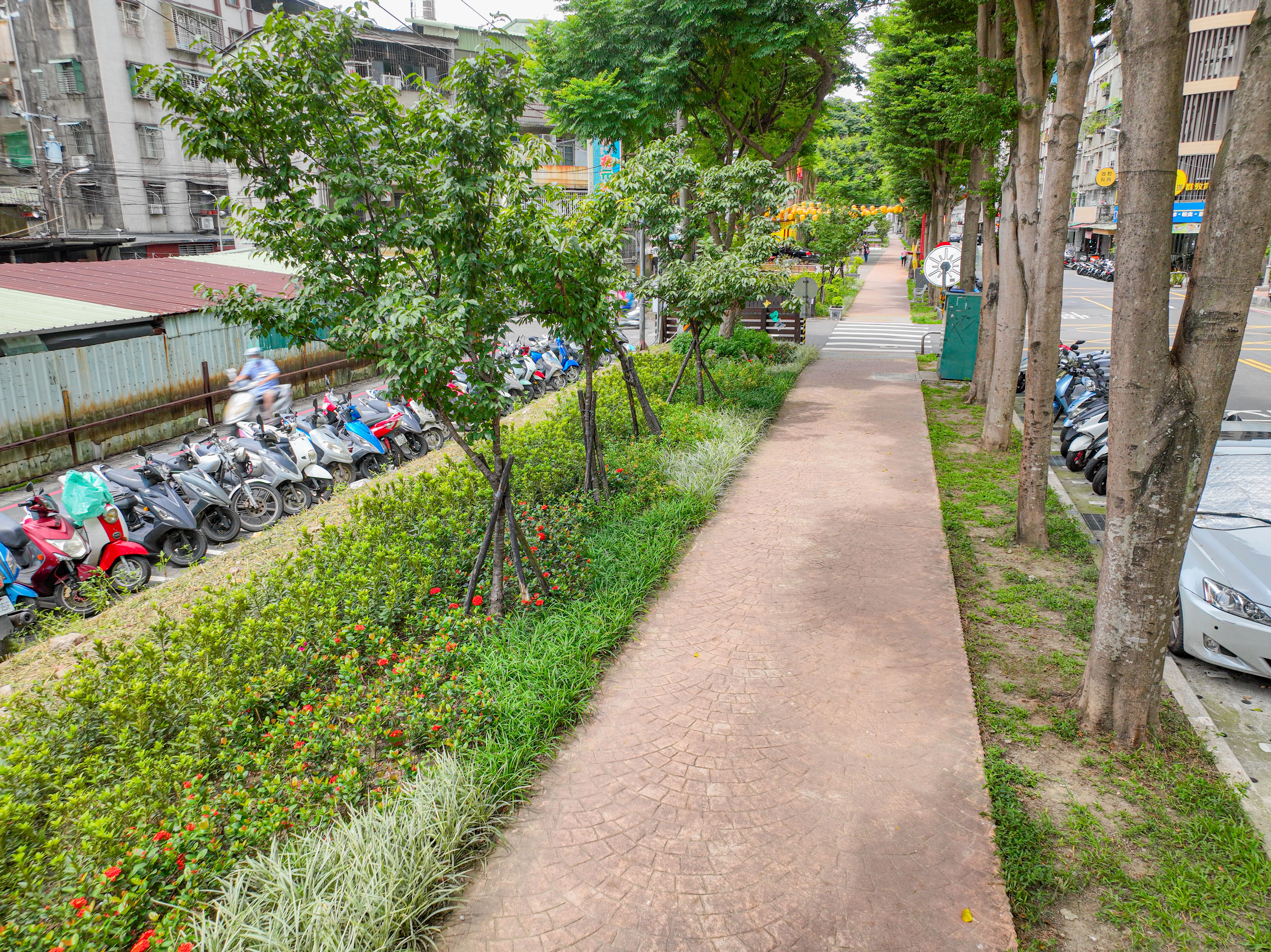新北市景觀處於中和區板南路的金山板南公園一帶打造都會型景觀廊道，增添四季不同季節美感