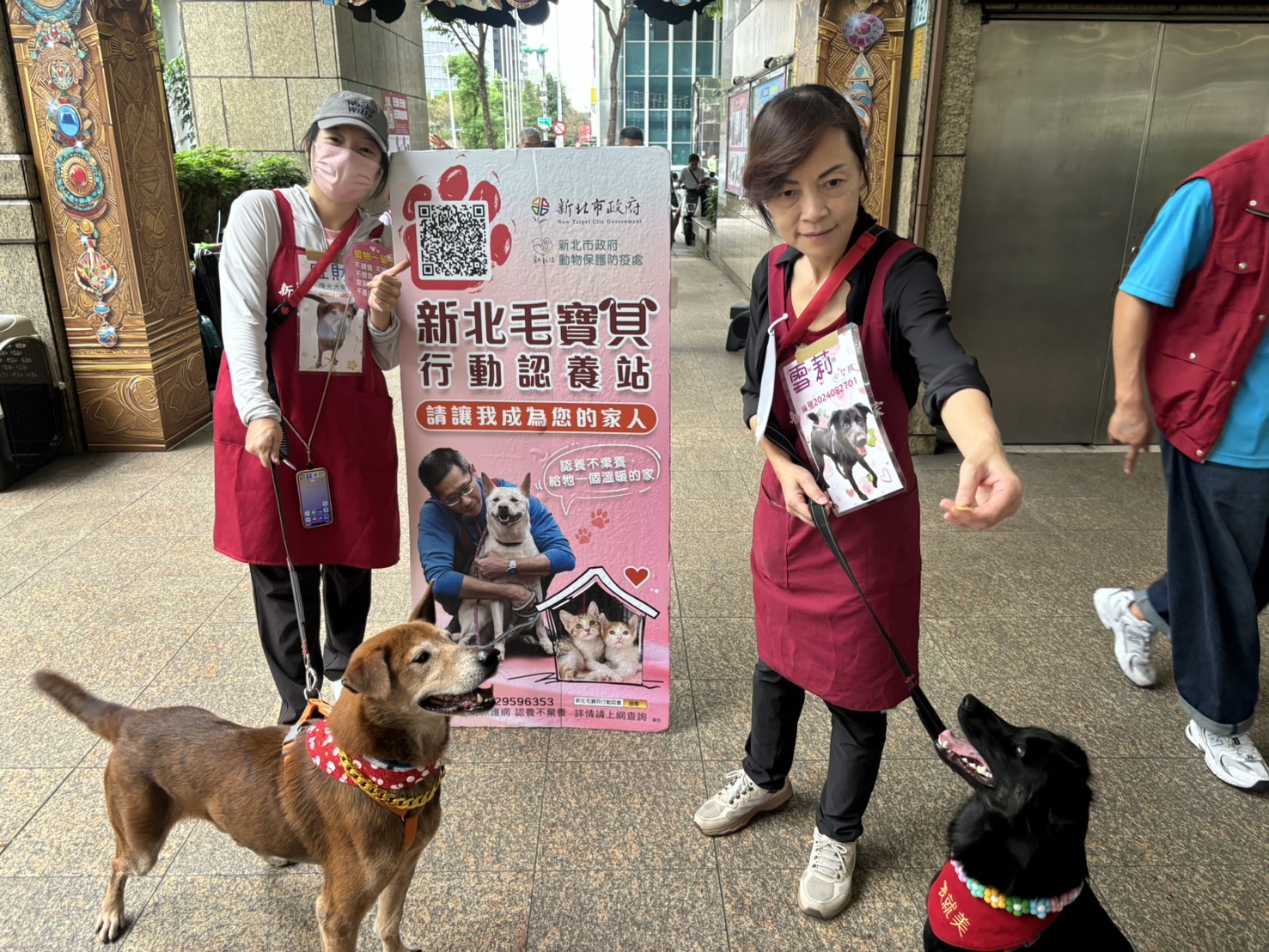 新北市動保處於11月10日舉辦1+1犬貓認養會，讓愛不孤單。