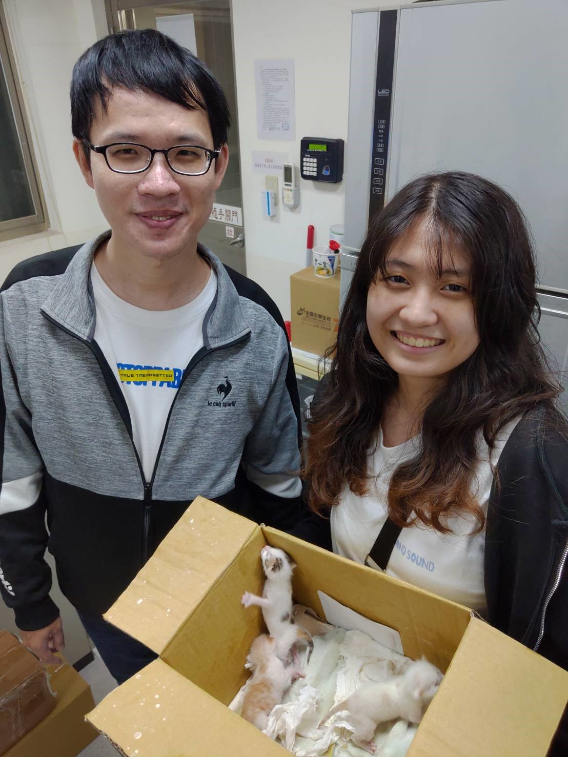 迅速至動物之家接小奶貓